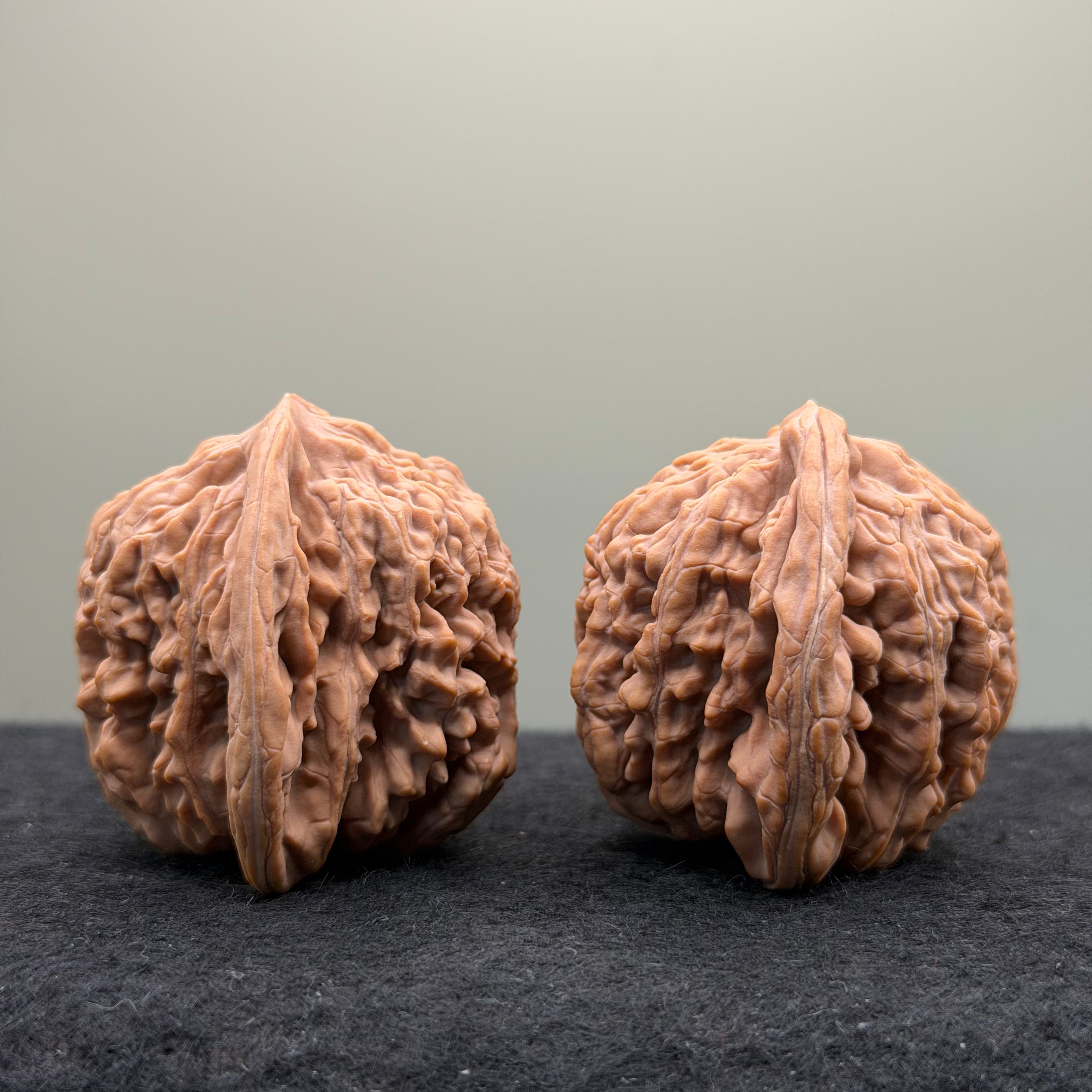 Four Towers Wenwan Walnut · 43mm · Natural · Premium Ritual