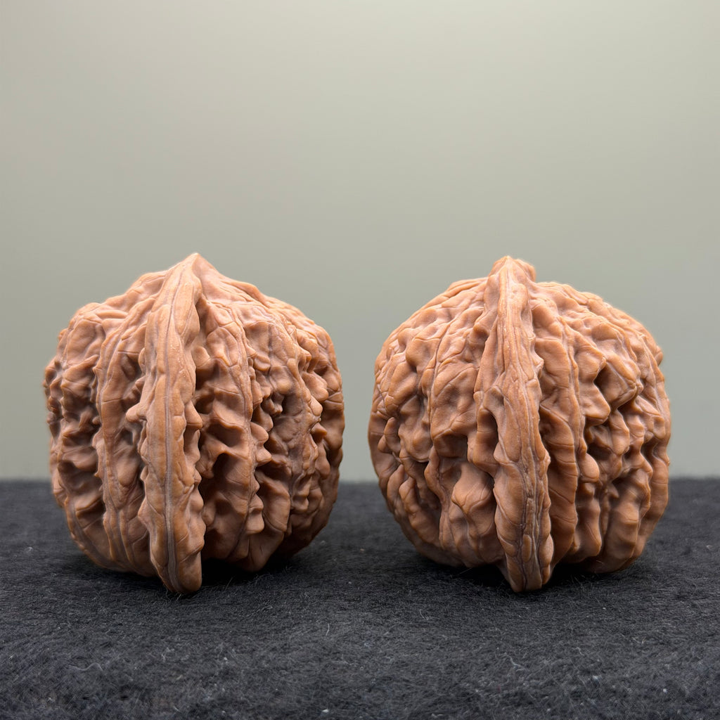 Four Towers Wenwan Walnut · 43mm · Natural · Premium Ritual