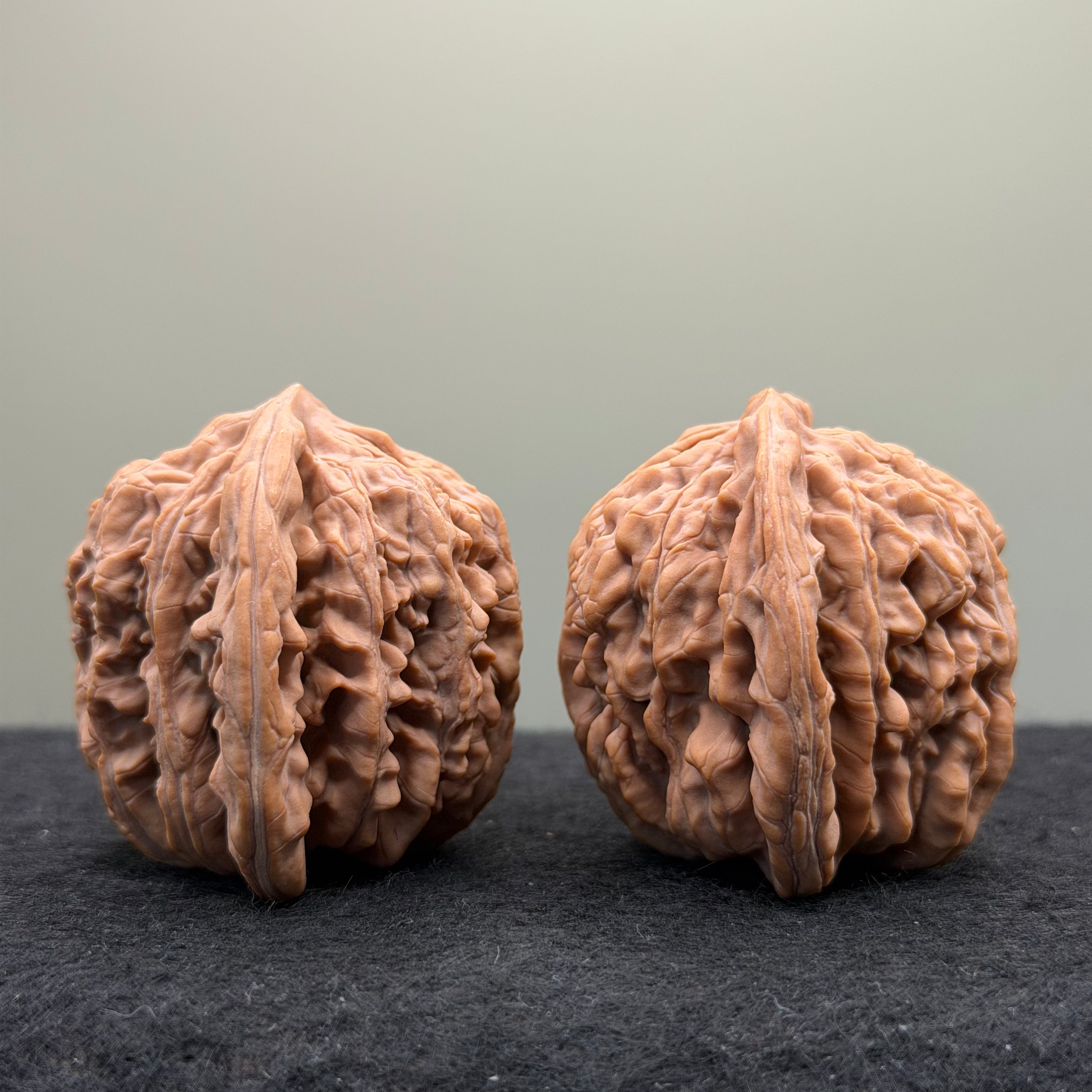 Four Towers Wenwan Walnut · 43mm · Natural · Premium Ritual
