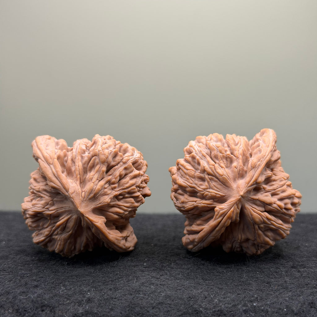 Four Towers Wenwan Walnut · 43mm · Natural · Premium Ritual