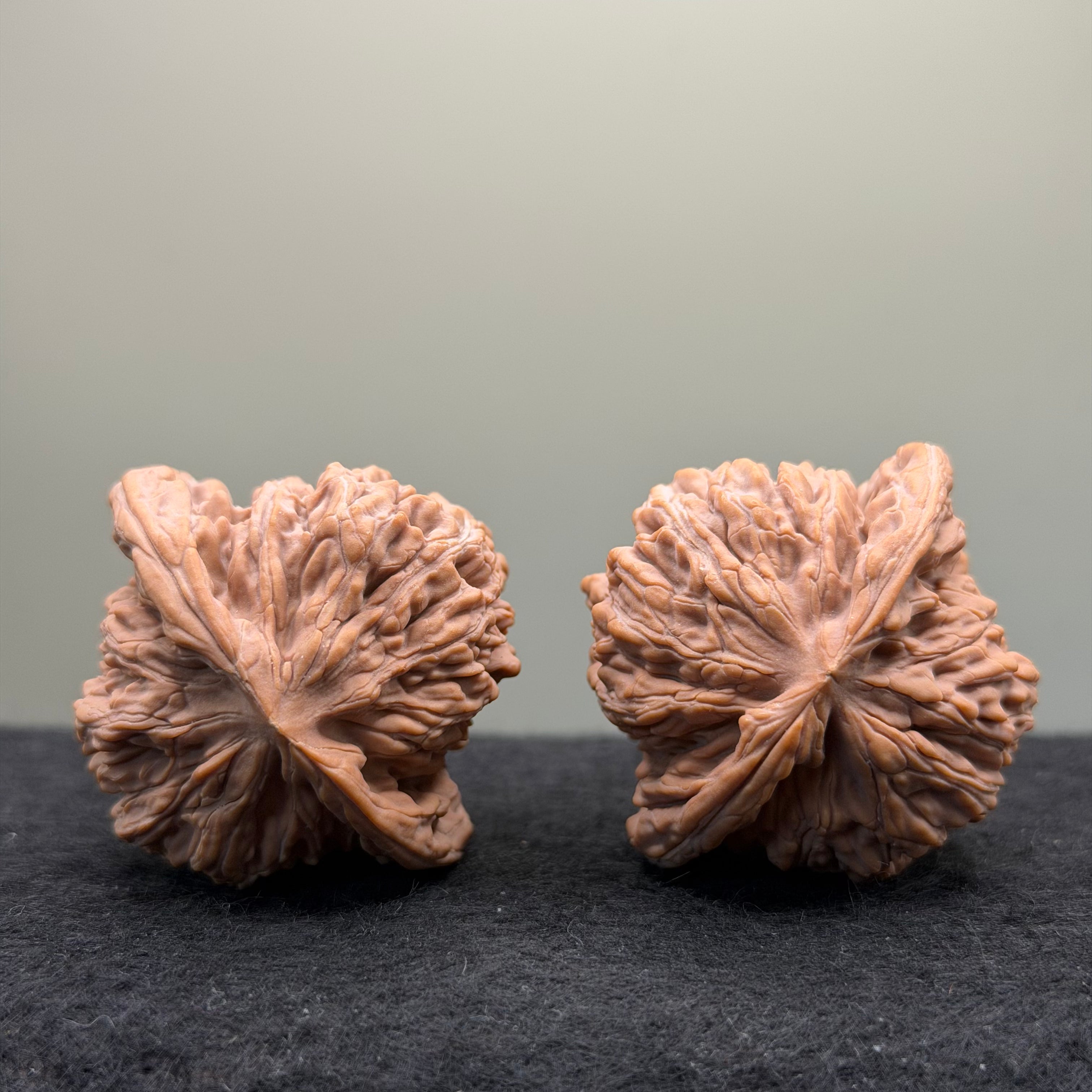 Four Towers Wenwan Walnut · 43mm · Natural · Premium Ritual