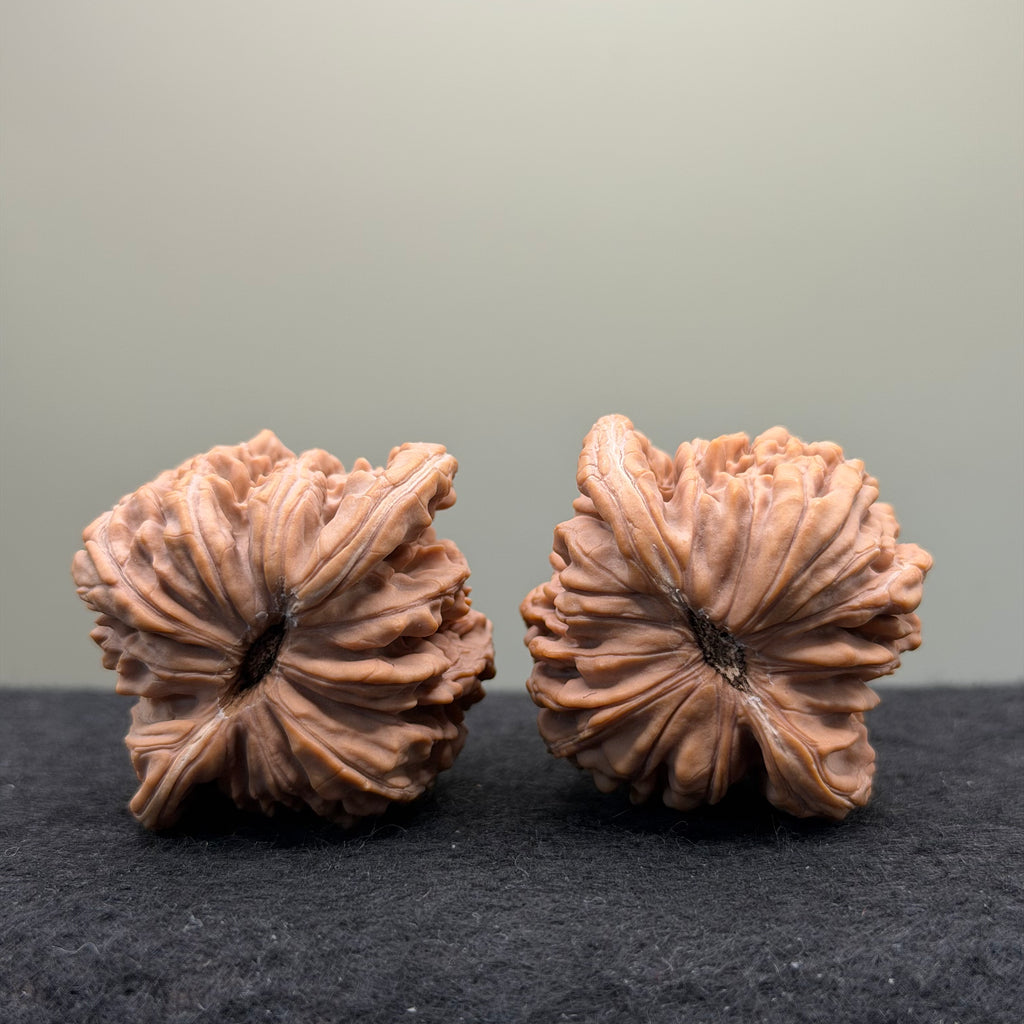 Four Towers Wenwan Walnut · 43mm · Natural · Premium Ritual