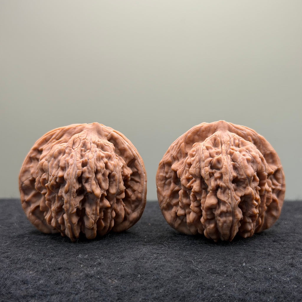 Four Towers Wenwan Walnut · 41mm · Natural · Premium Ritual