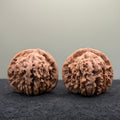 Four Towers Wenwan Walnut · 41mm · Natural · Premium Ritual