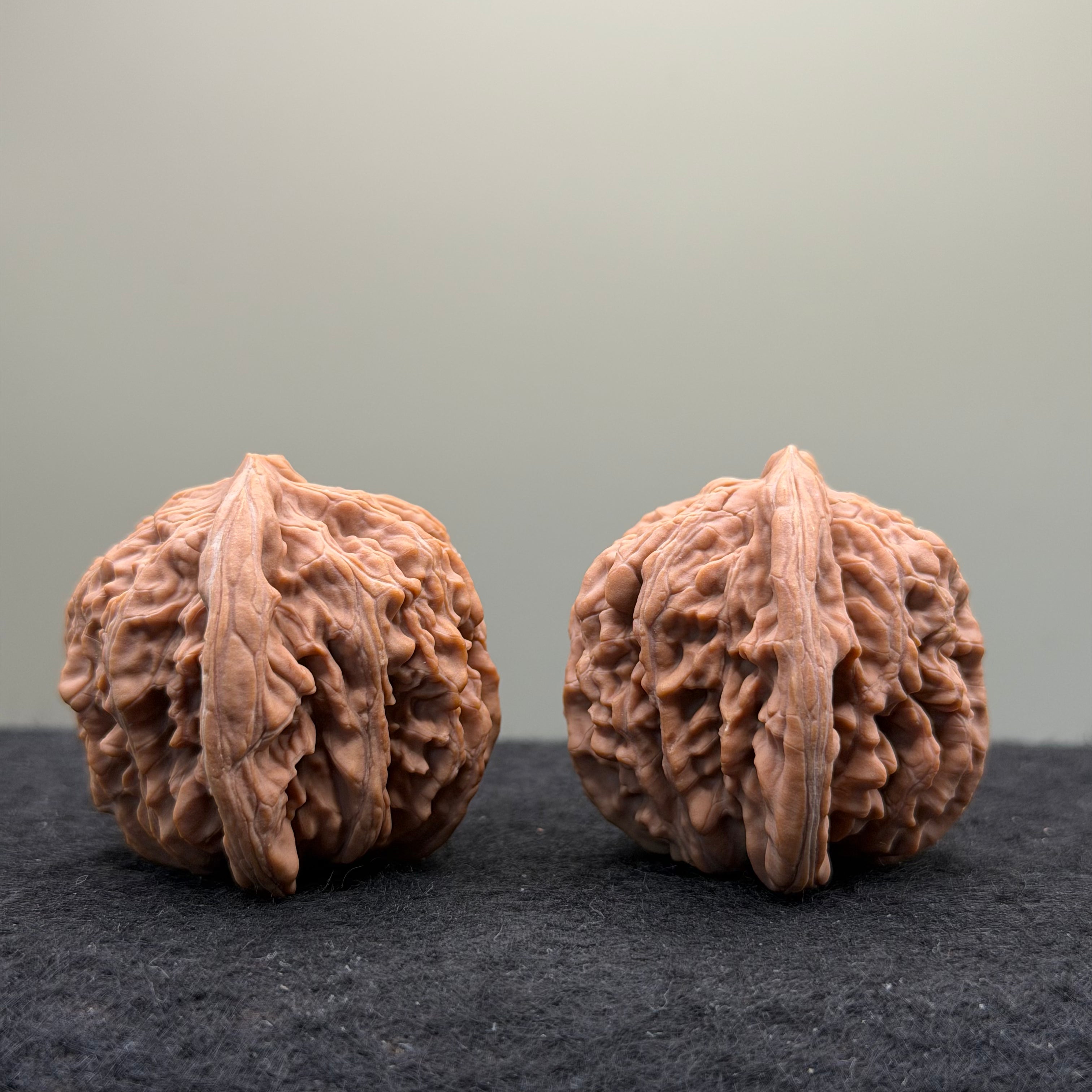 Four Towers Wenwan Walnut · 41mm · Natural · Premium Ritual