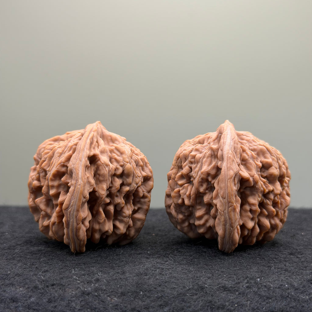 Four Towers Wenwan Walnut · 41mm · Natural · Premium Ritual