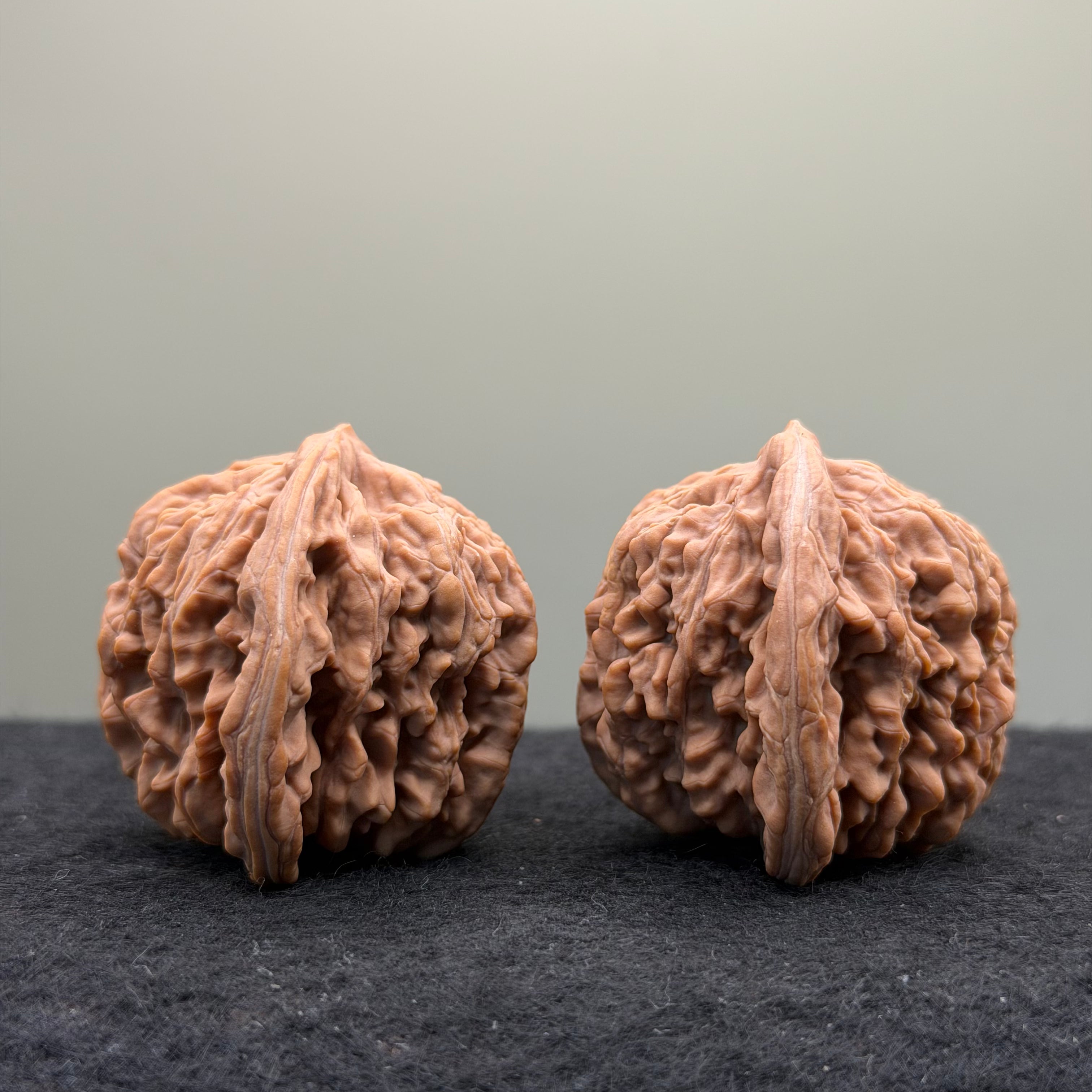 Four Towers Wenwan Walnut · 41mm · Natural · Premium Ritual