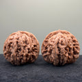 Four Towers Wenwan Walnut · 44mm · Natural · Select Ritual