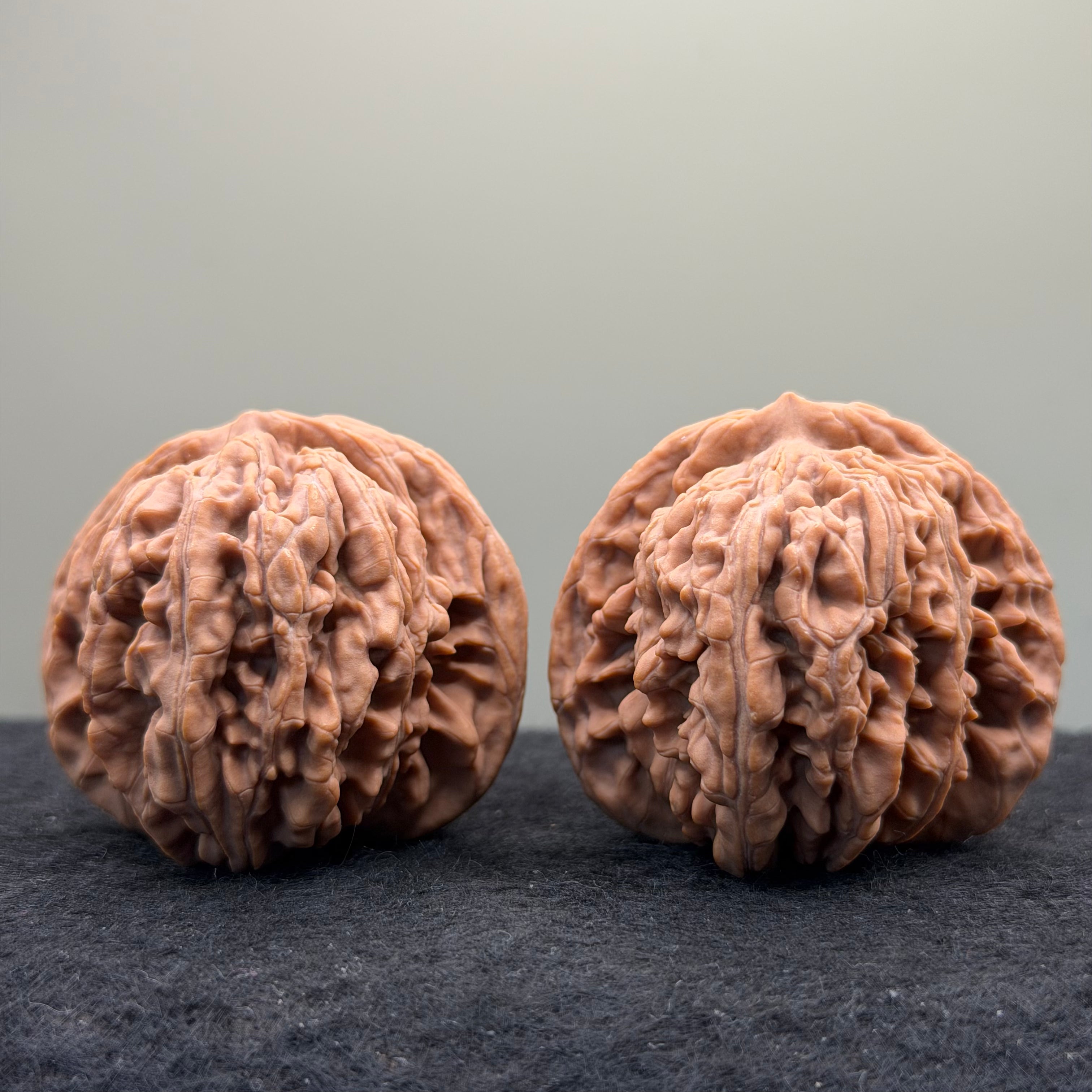 Four Towers Wenwan Walnut · 44mm · Natural · Select Ritual
