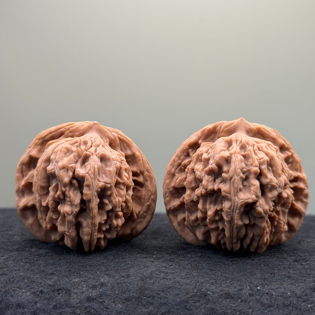 Four Towers Wenwan Walnut · 44mm · Natural · Select Ritual