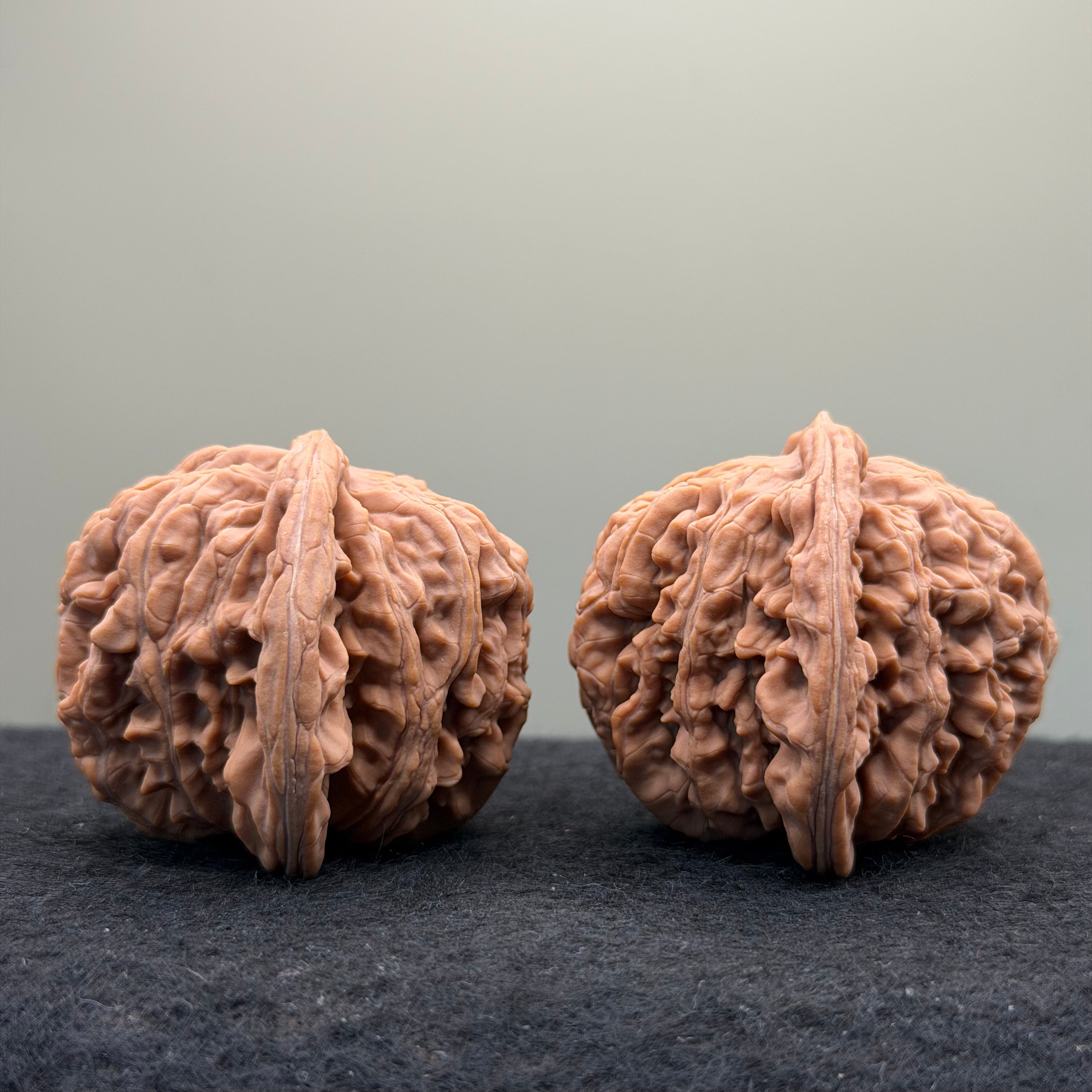 Four Towers Wenwan Walnut · 44mm · Natural · Select Ritual