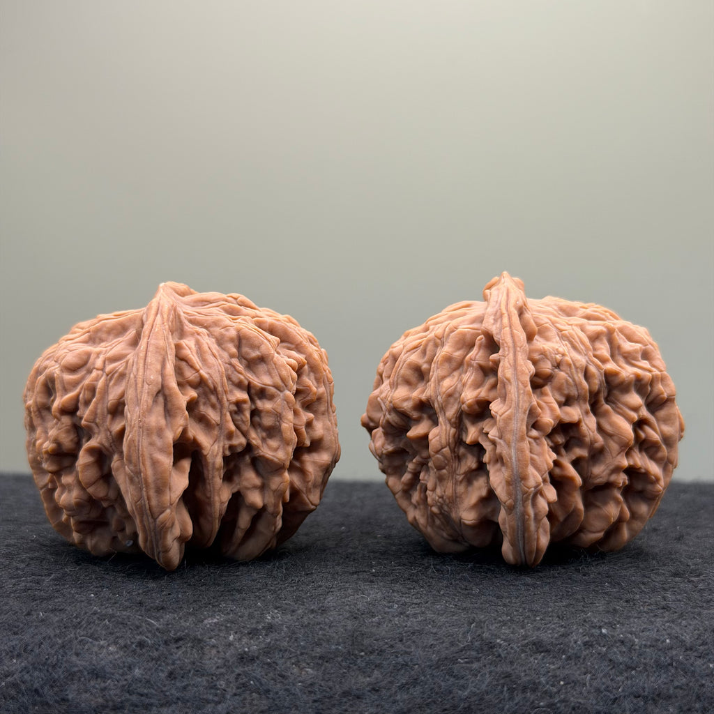 Four Towers Wenwan Walnut · 44mm · Natural · Select Ritual