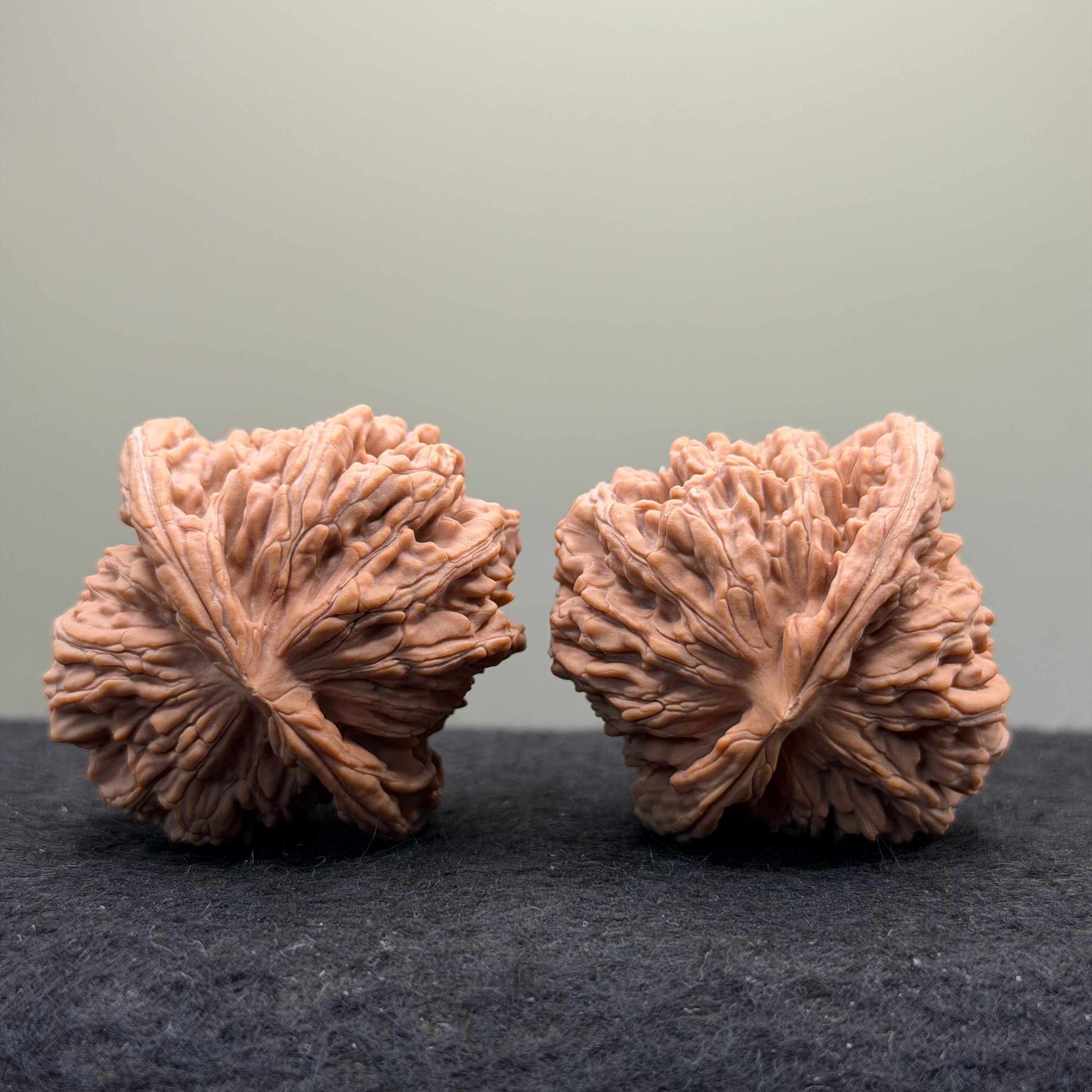 Four Towers Wenwan Walnut · 44mm · Natural · Select Ritual