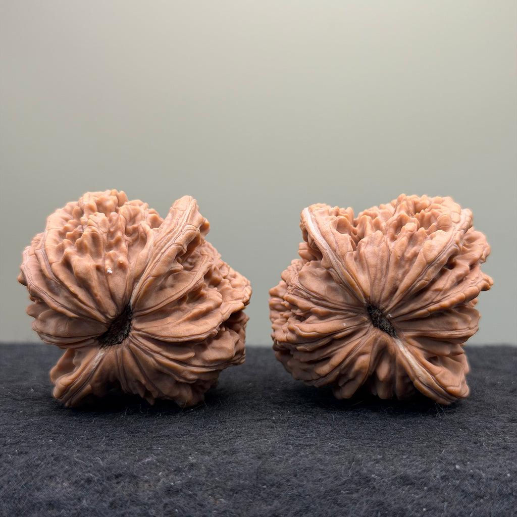 Four Towers Wenwan Walnut · 44mm · Natural · Select Ritual