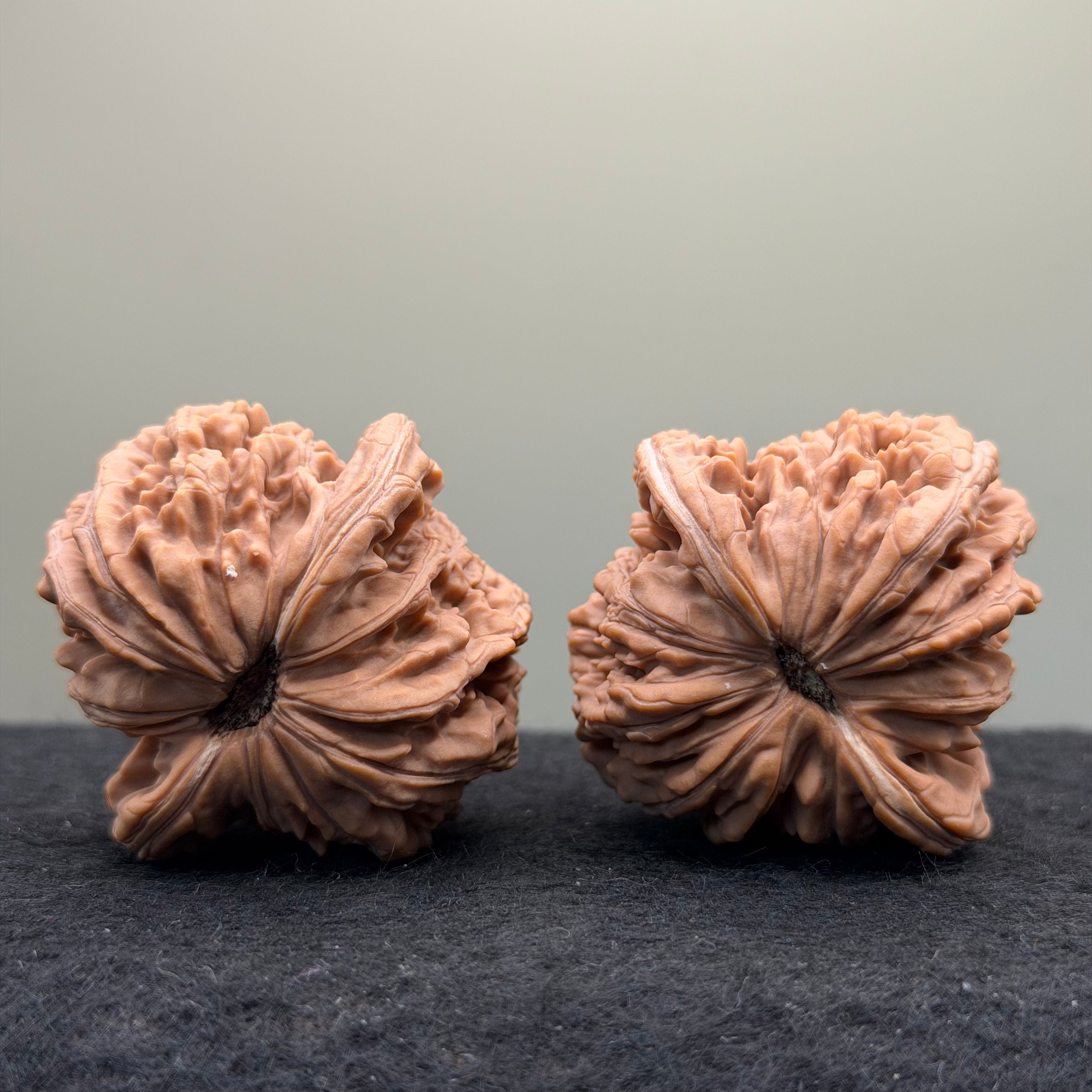 Four Towers Wenwan Walnut · 44mm · Natural · Select Ritual