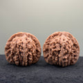 Four Towers Wenwan Walnut · 42mm · Natural · Select Ritual