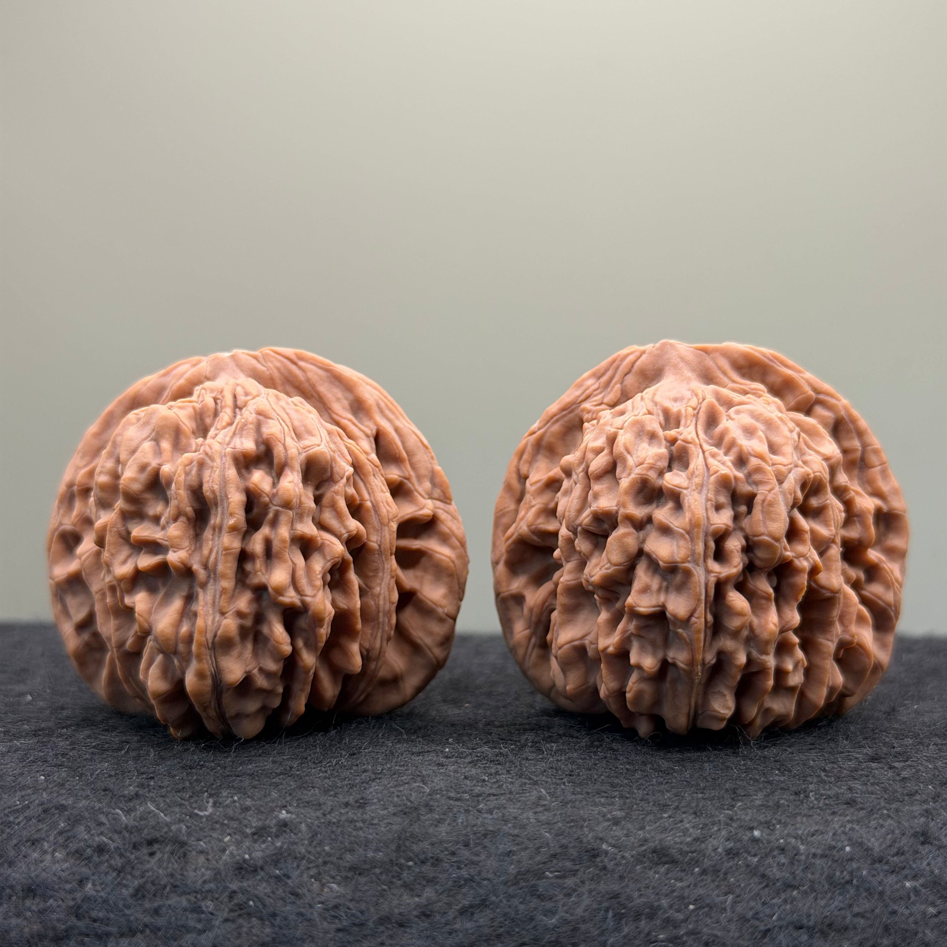 Four Towers Wenwan Walnut · 42mm · Natural · Select Ritual