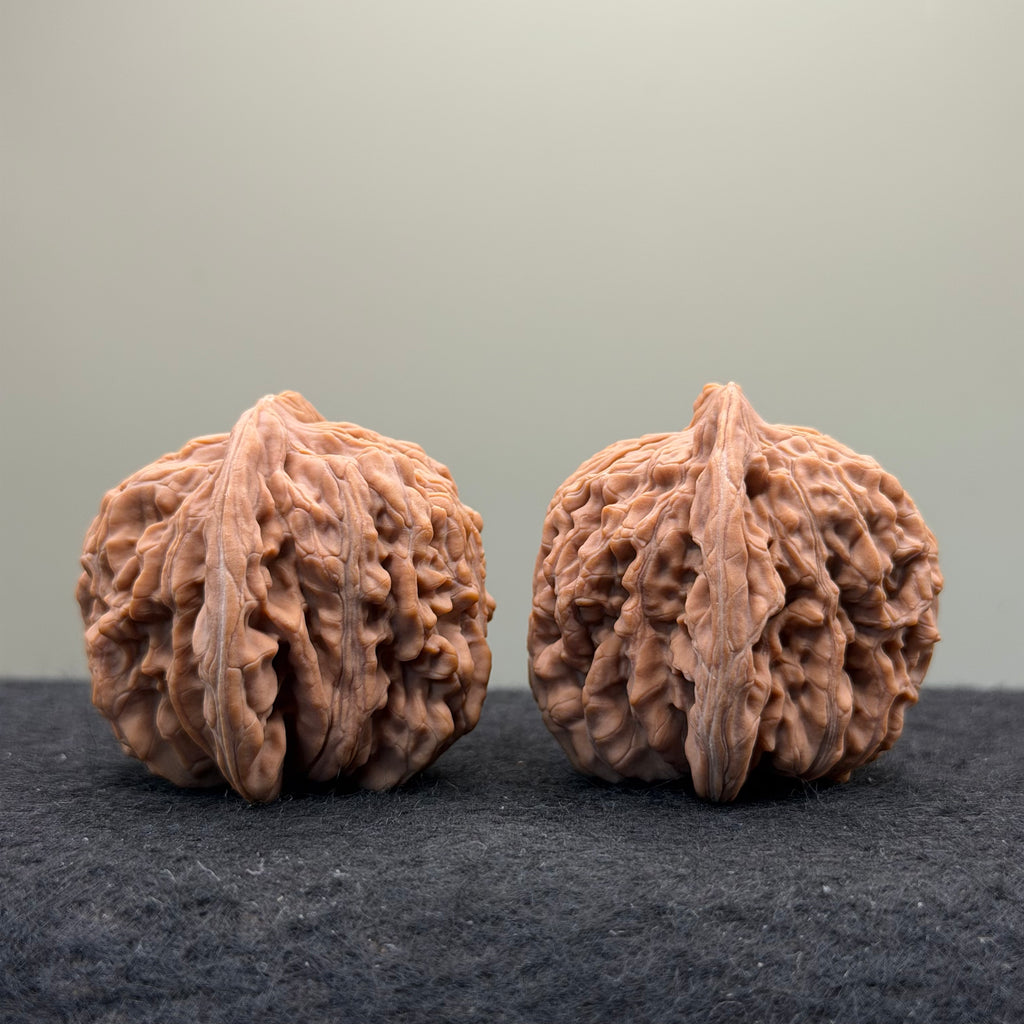 Four Towers Wenwan Walnut · 42mm · Natural · Select Ritual