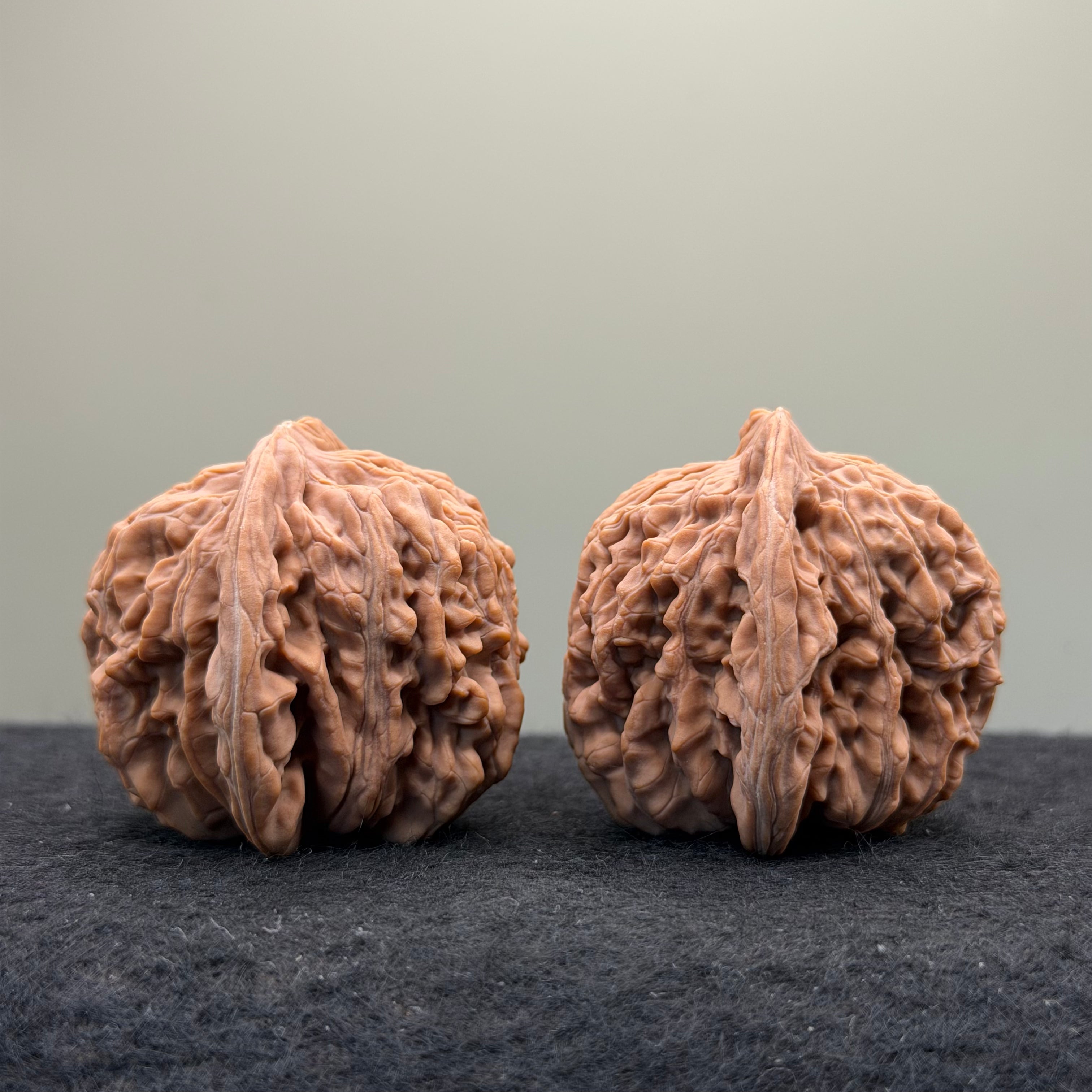 Four Towers Wenwan Walnut · 42mm · Natural · Select Ritual