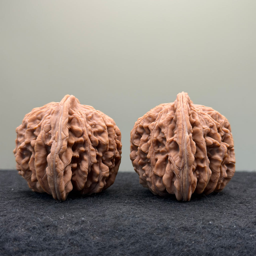 Four Towers Wenwan Walnut · 42mm · Natural · Select Ritual