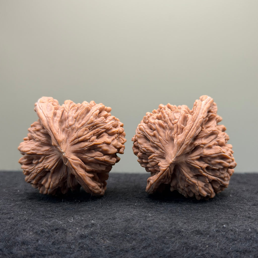 Four Towers Wenwan Walnut · 42mm · Natural · Select Ritual
