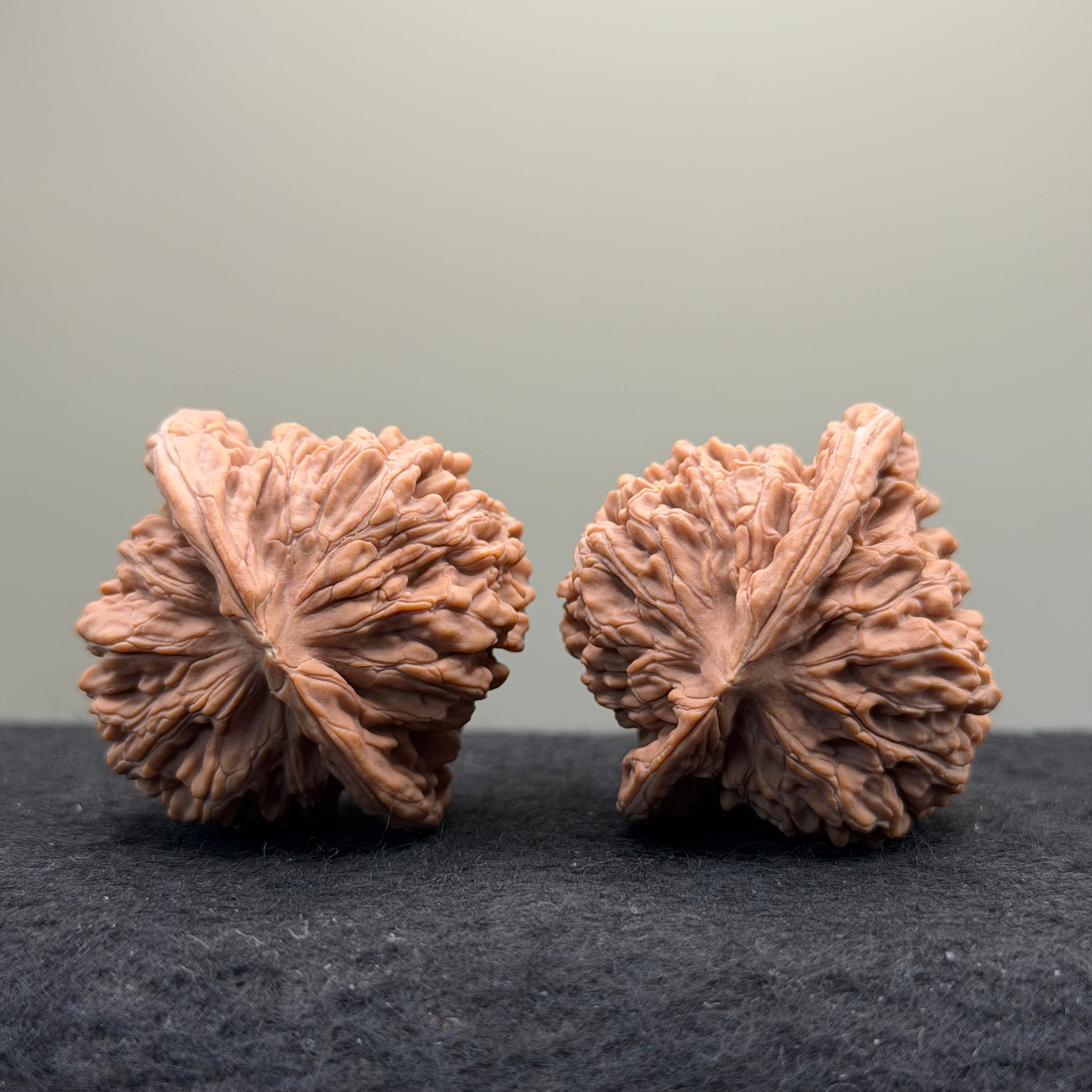 Four Towers Wenwan Walnut · 42mm · Natural · Select Ritual