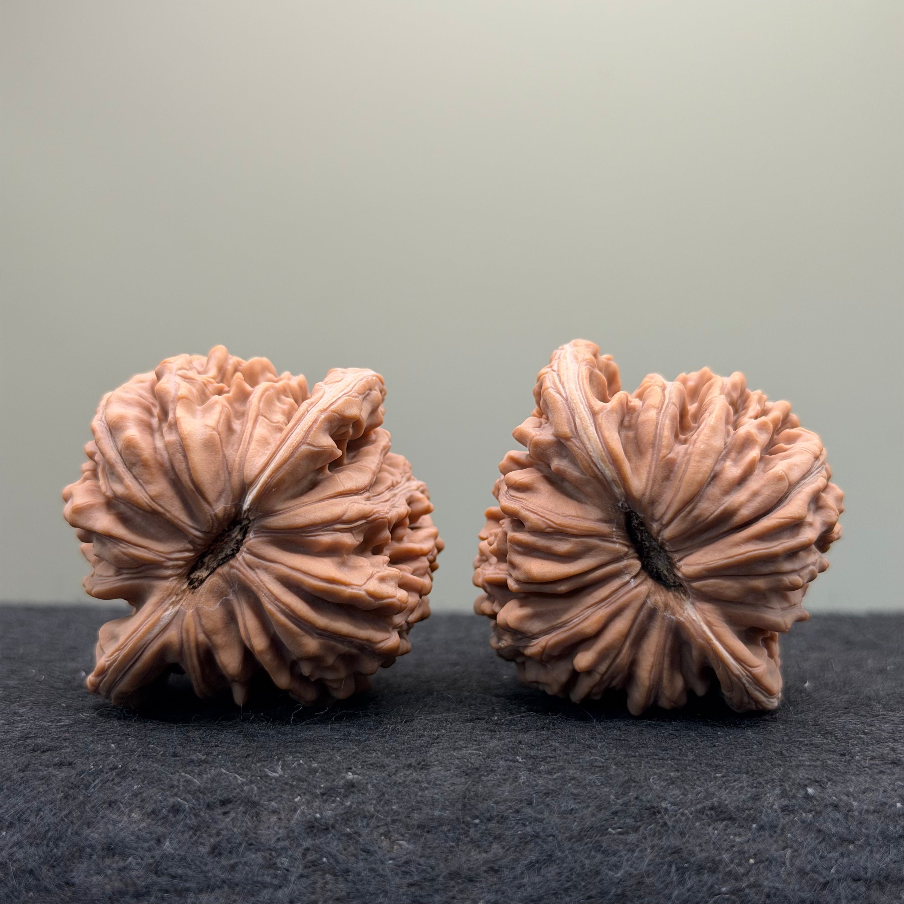 Four Towers Wenwan Walnut · 42mm · Natural · Select Ritual