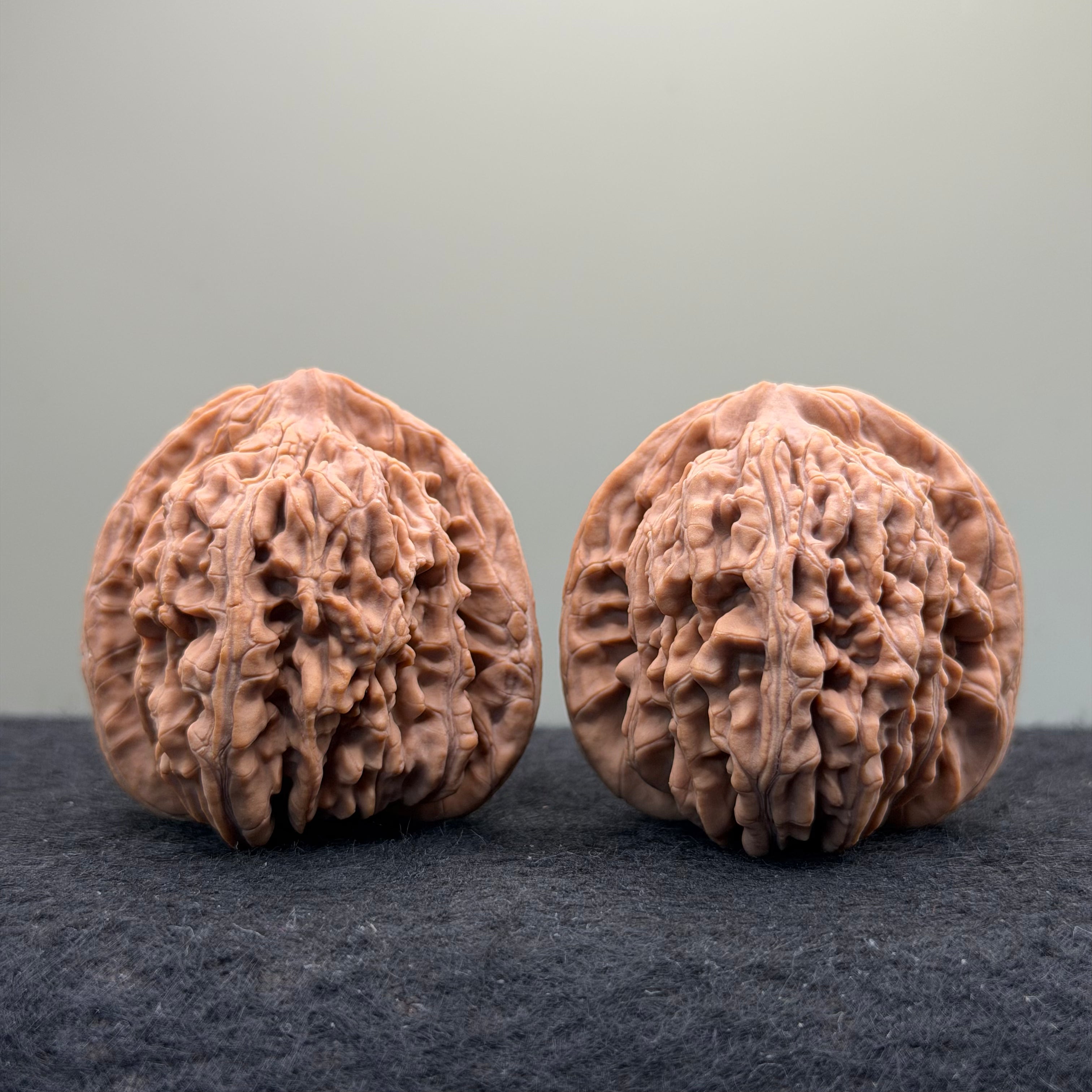 Four Towers Wenwan Walnut · 43mm · Natural · Select Ritual