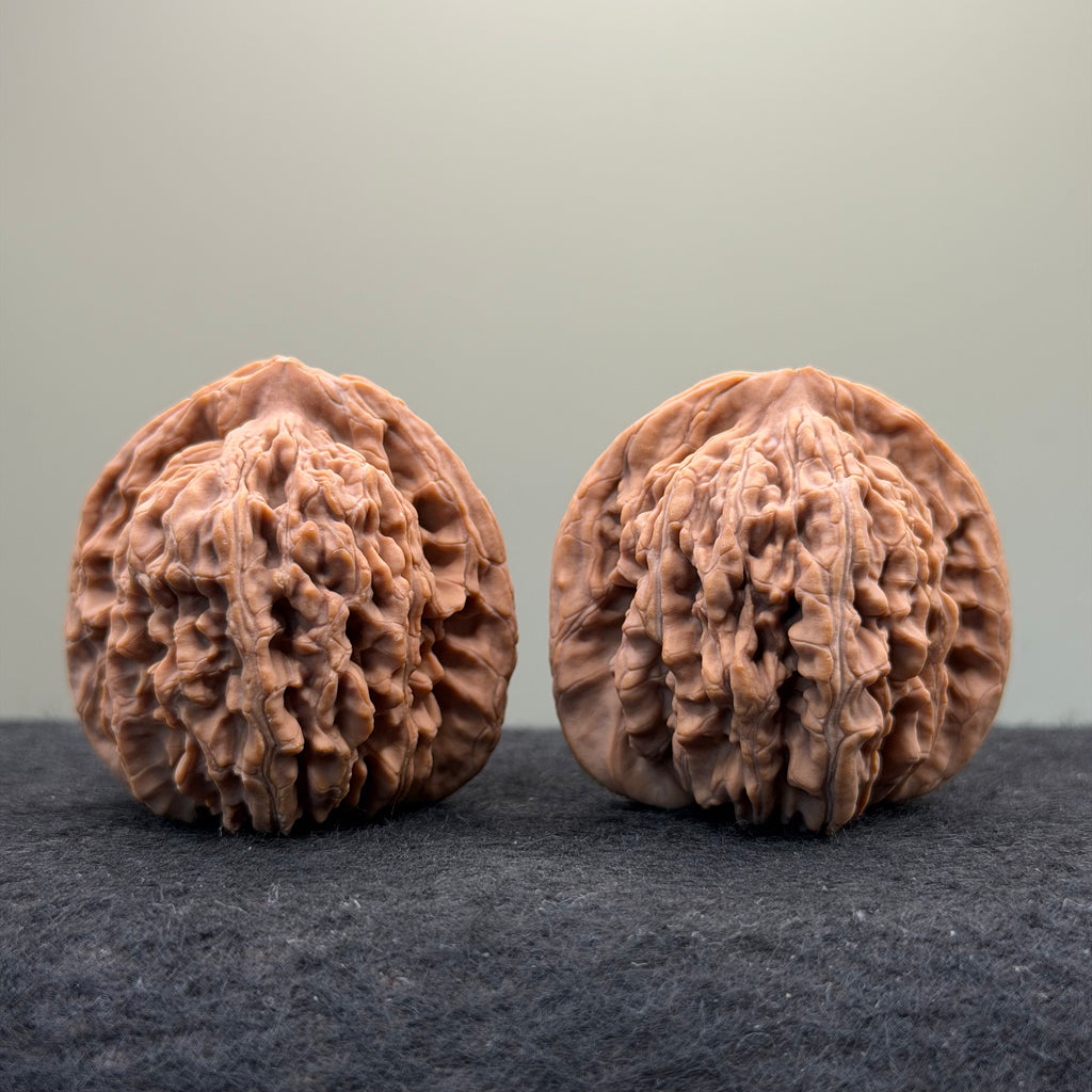 Four Towers Wenwan Walnut · 43mm · Natural · Select Ritual