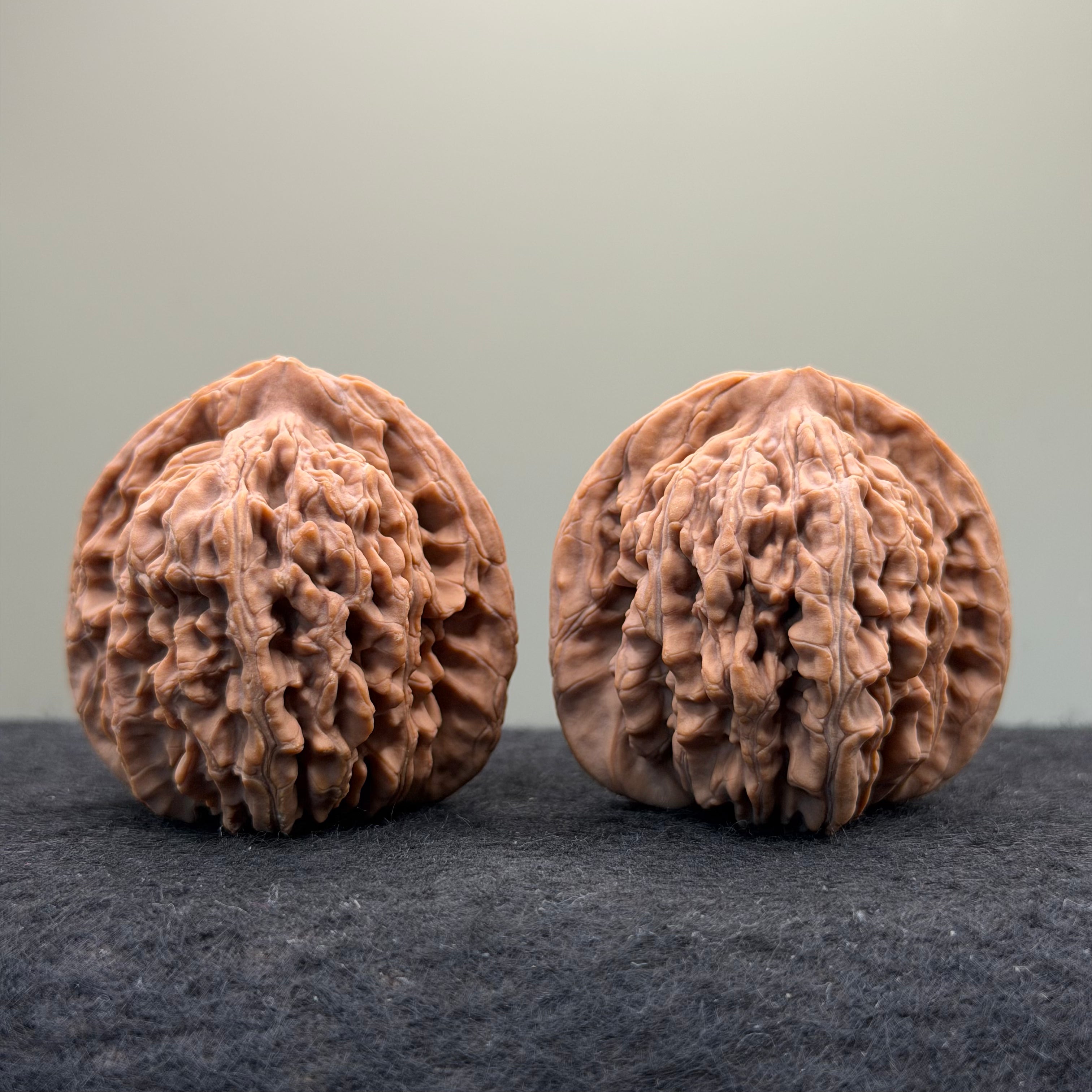 Four Towers Wenwan Walnut · 43mm · Natural · Select Ritual