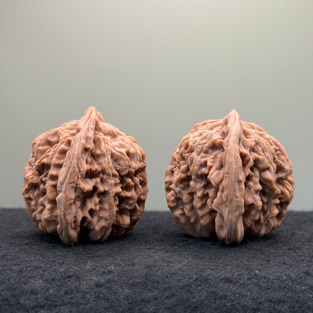 Four Towers Wenwan Walnut · 43mm · Natural · Select Ritual
