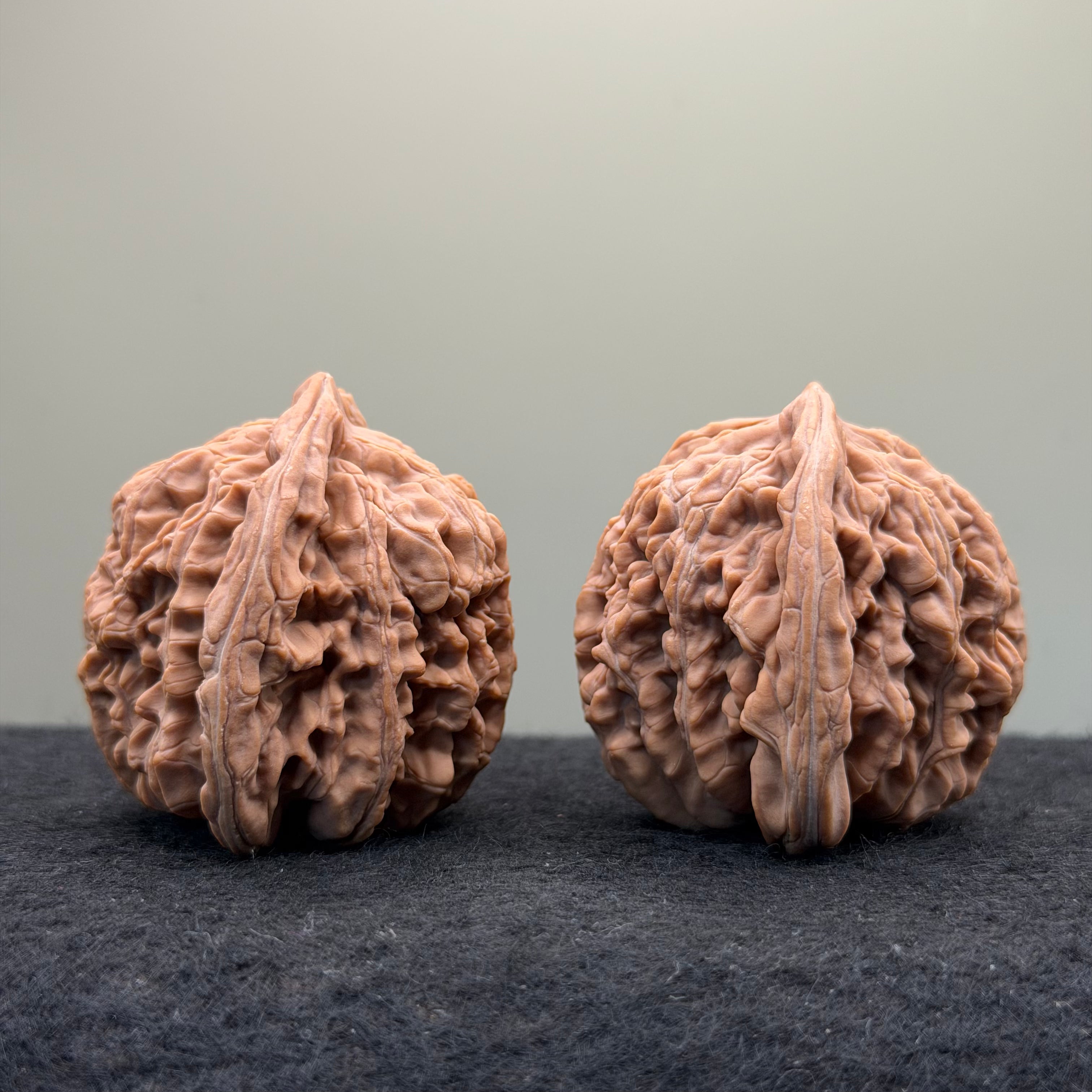 Four Towers Wenwan Walnut · 43mm · Natural · Select Ritual