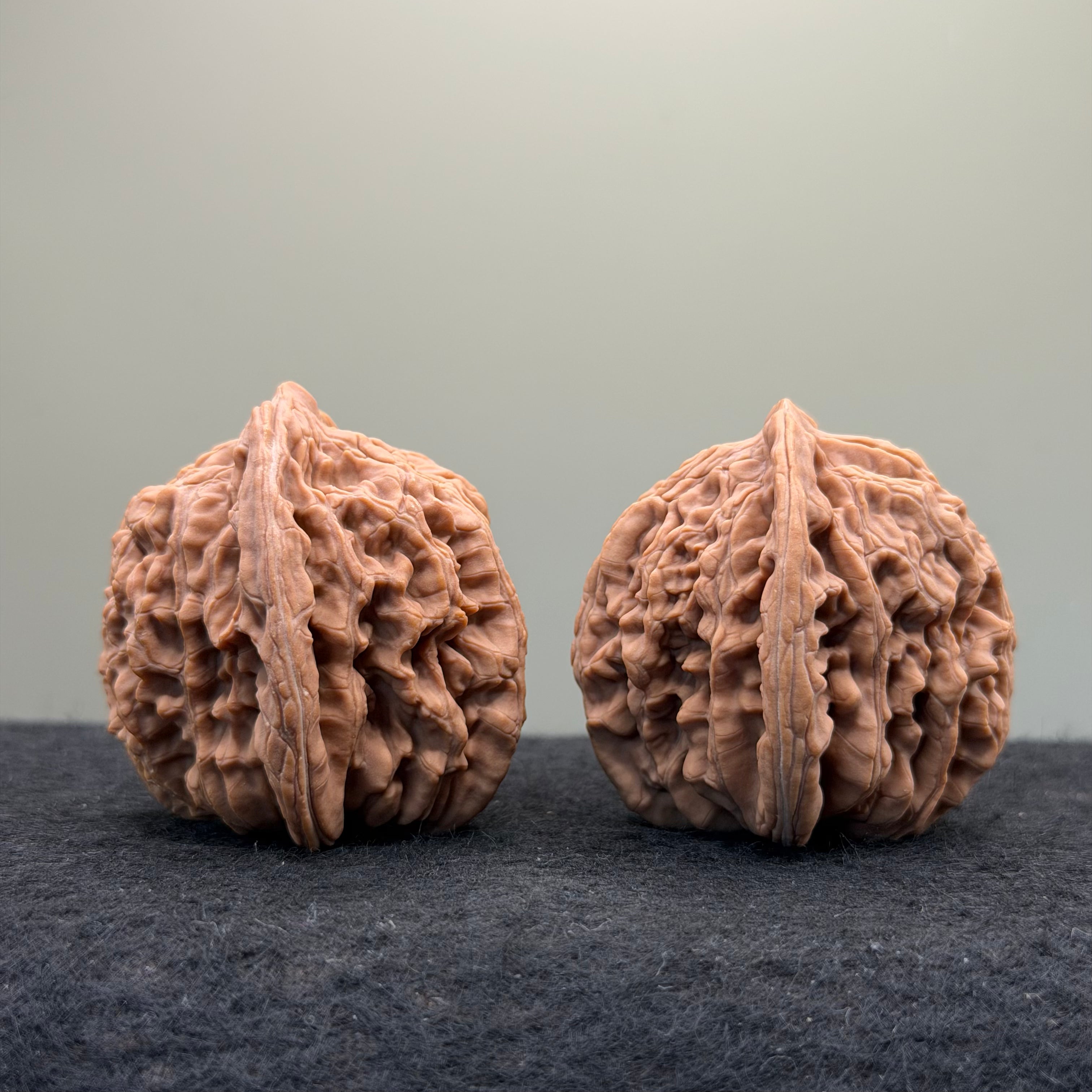 Four Towers Wenwan Walnut · 43mm · Natural · Select Ritual
