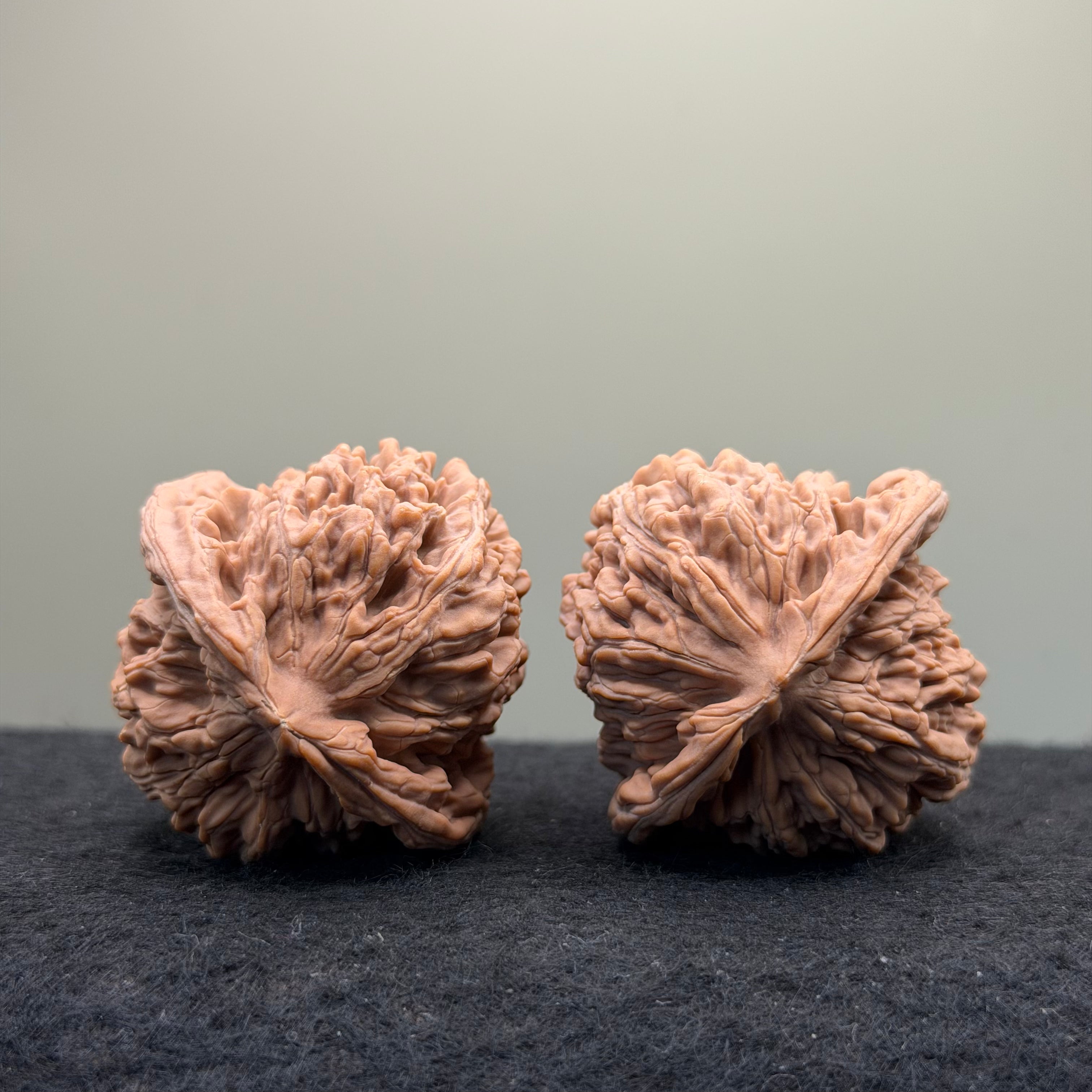 Four Towers Wenwan Walnut · 43mm · Natural · Select Ritual