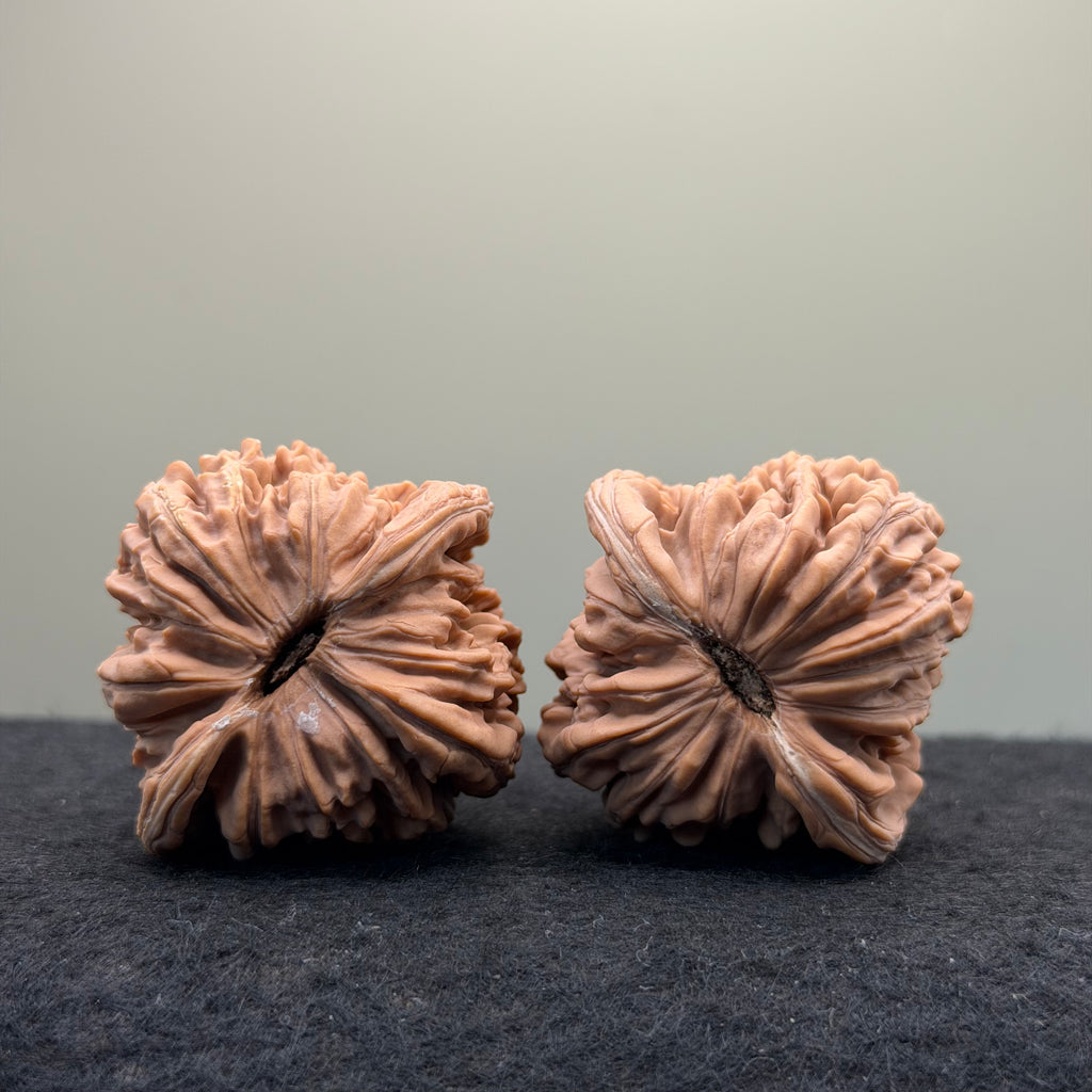 Four Towers Wenwan Walnut · 43mm · Natural · Select Ritual