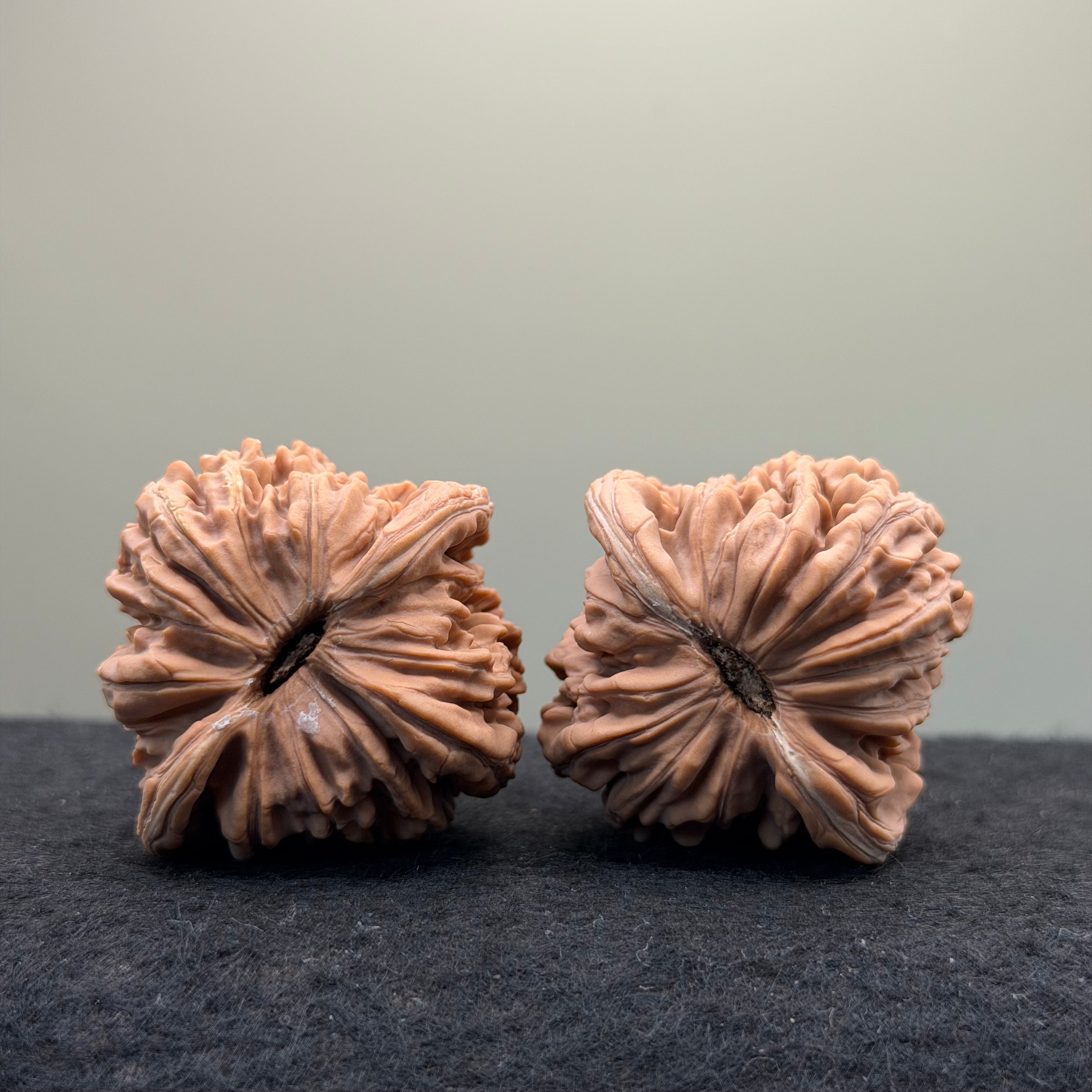 Four Towers Wenwan Walnut · 43mm · Natural · Select Ritual