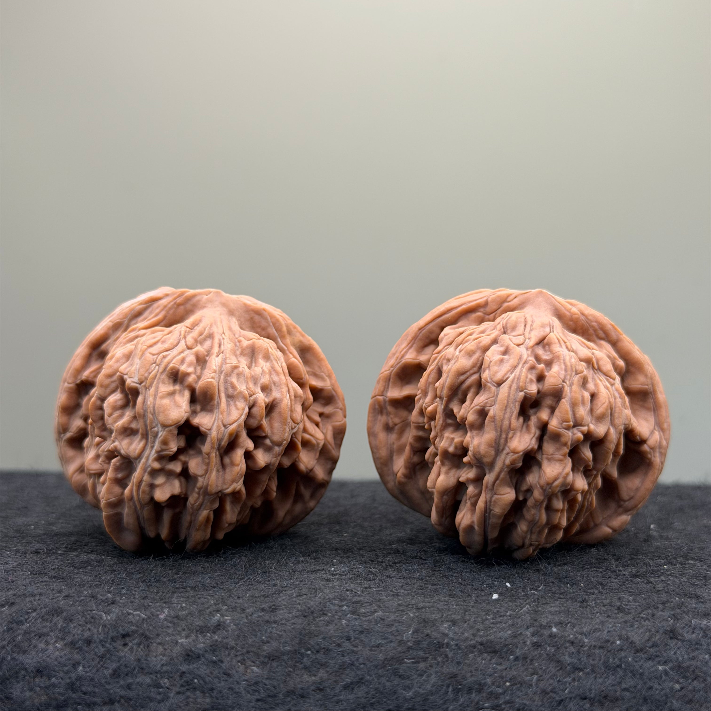 Four Towers Wenwan Walnut · 42mm · Natural · Select Ritual