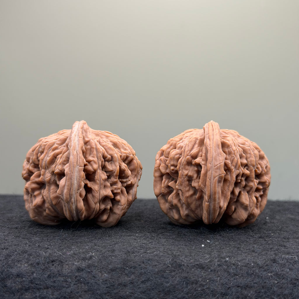Four Towers Wenwan Walnut · 42mm · Natural · Select Ritual