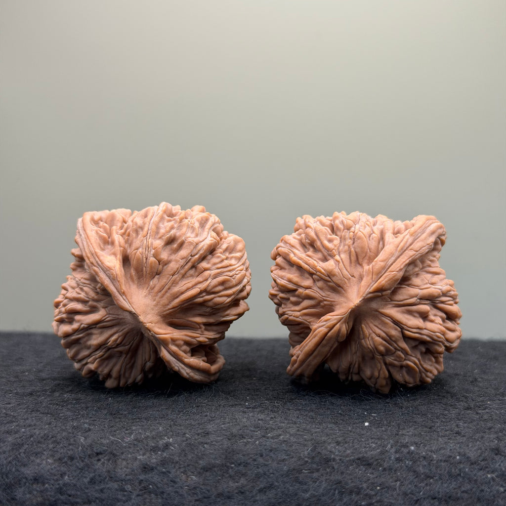 Four Towers Wenwan Walnut · 42mm · Natural · Select Ritual