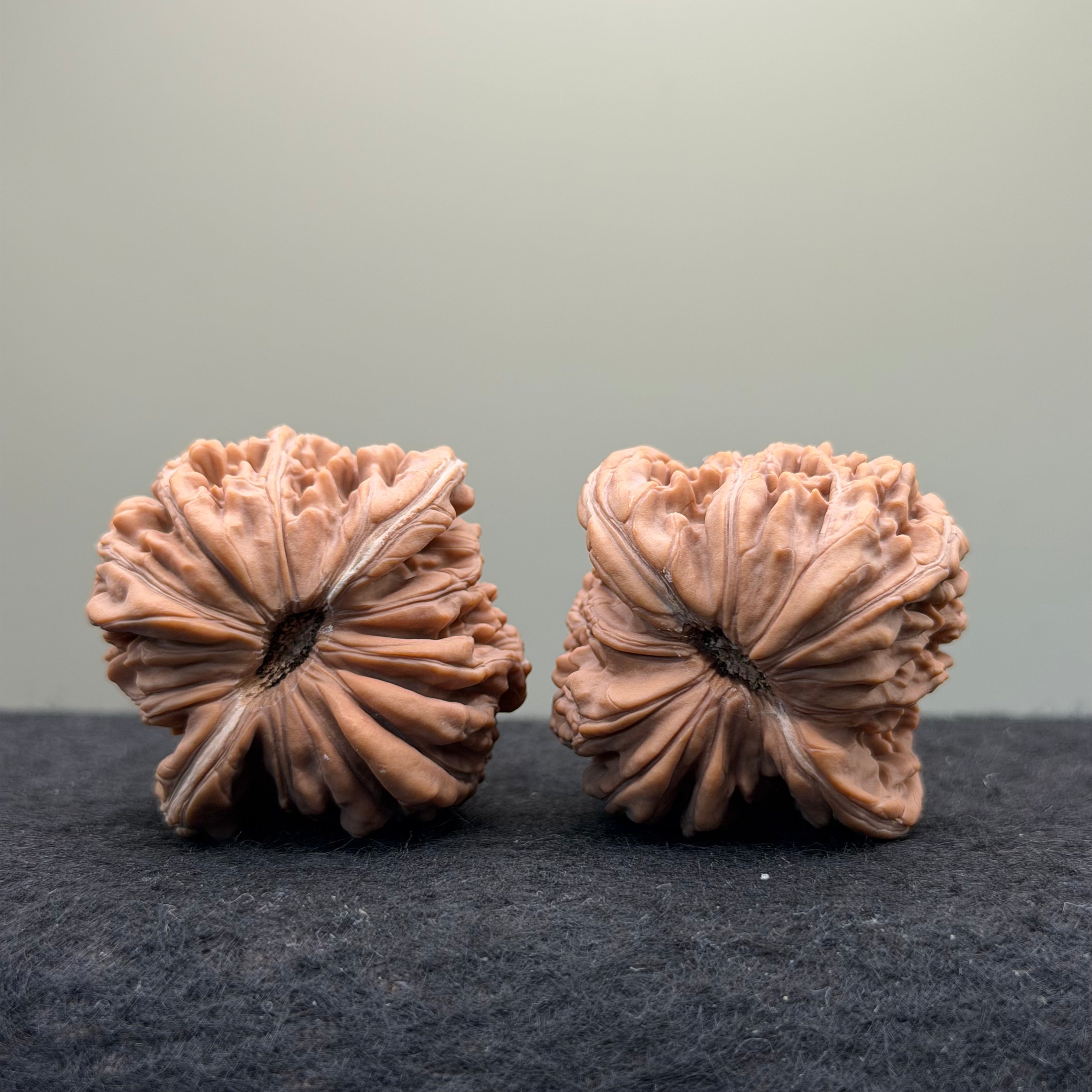 Four Towers Wenwan Walnut · 42mm · Natural · Select Ritual
