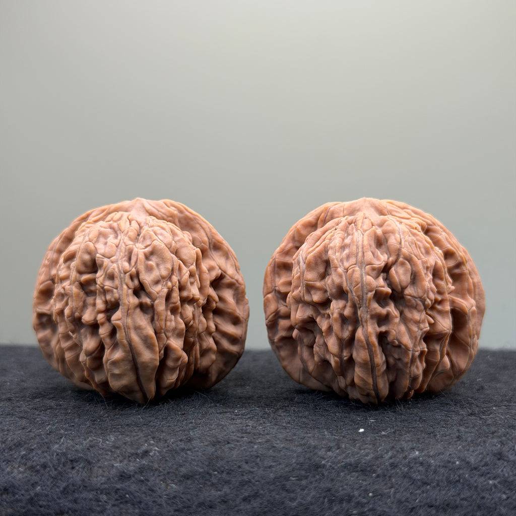 Four Towers Wenwan Walnut · 41mm · Natural · Select Ritual