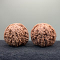Four Towers Wenwan Walnut · 41mm · Natural · Select Ritual