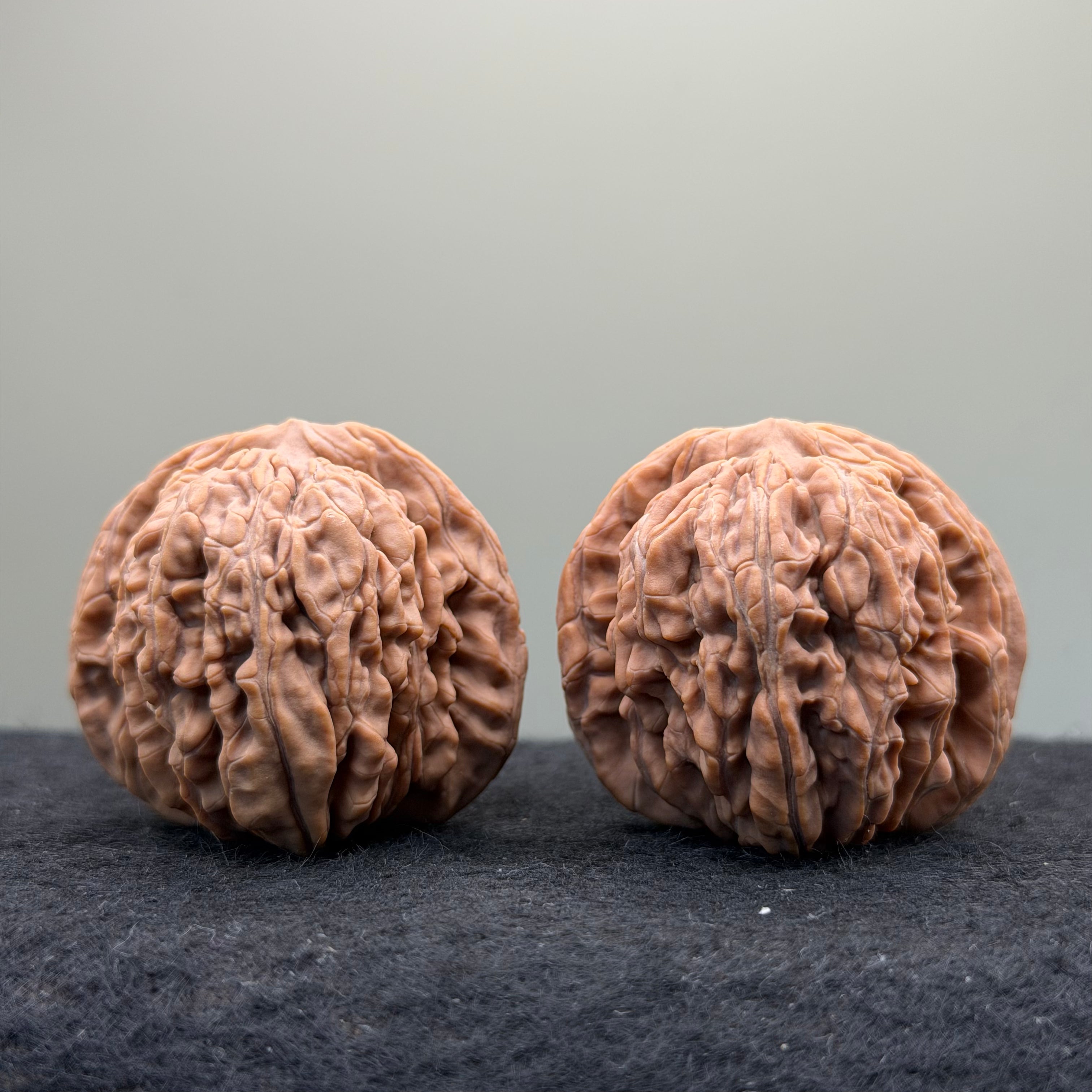 Four Towers Wenwan Walnut · 41mm · Natural · Select Ritual