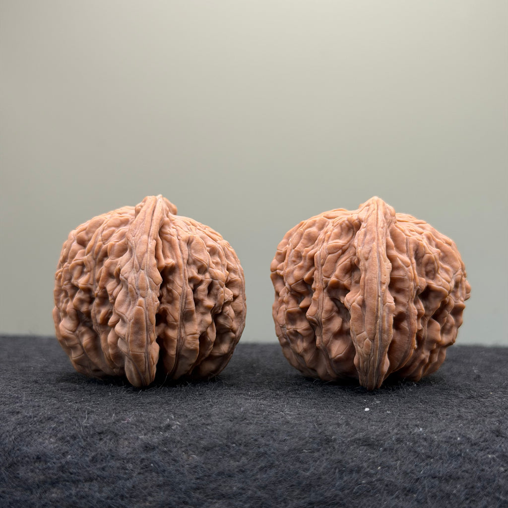 Four Towers Wenwan Walnut · 41mm · Natural · Select Ritual