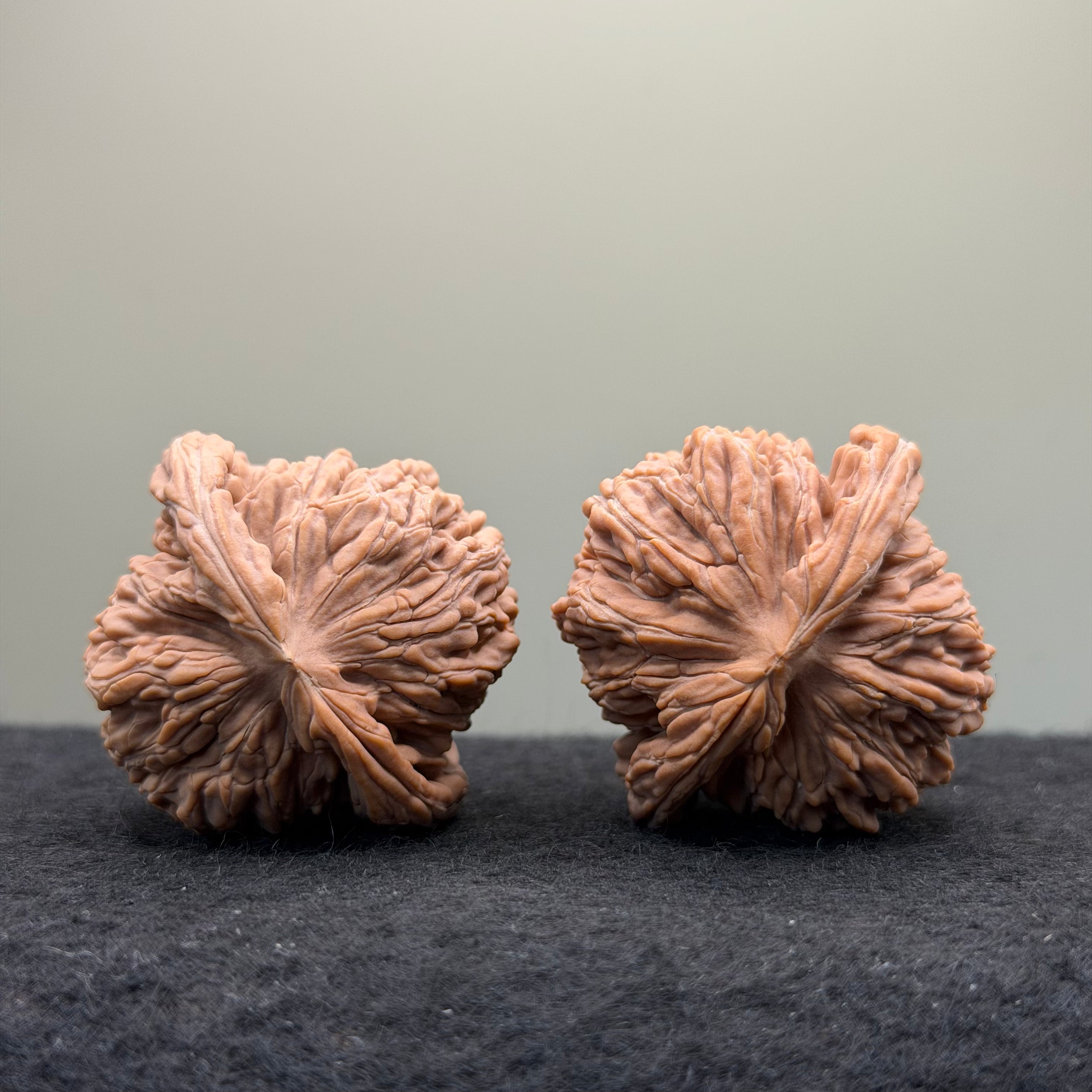 Four Towers Wenwan Walnut · 41mm · Natural · Select Ritual