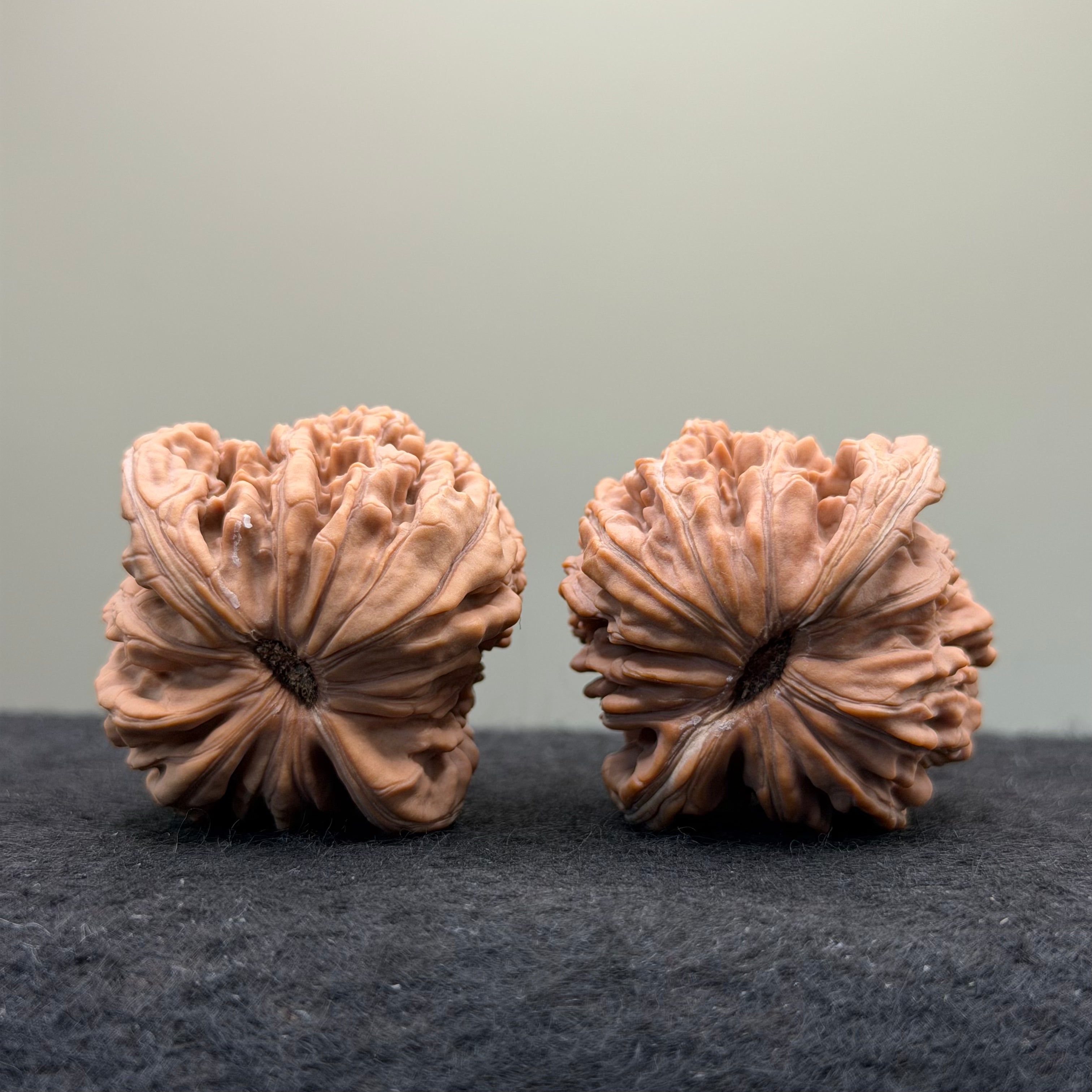 Four Towers Wenwan Walnut · 41mm · Natural · Select Ritual