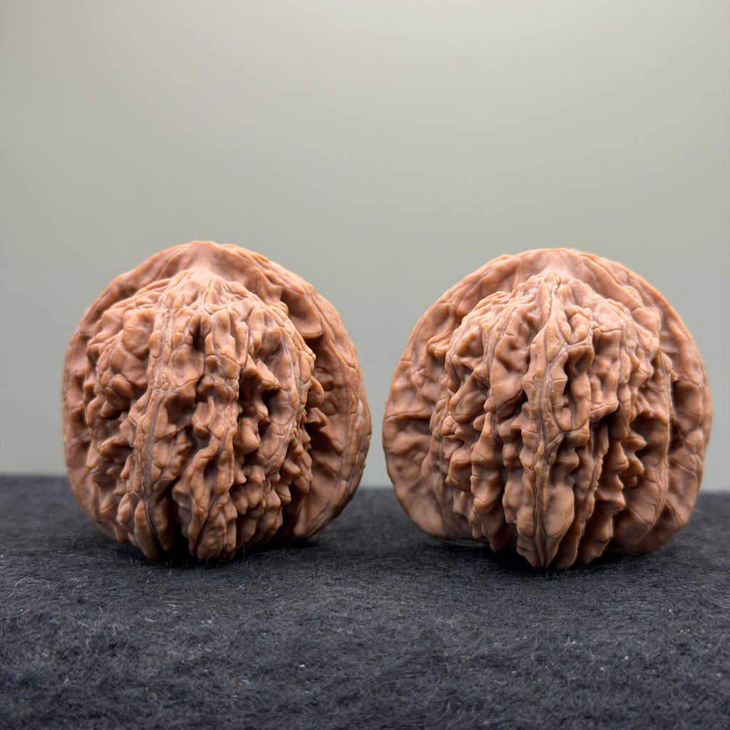 Four Towers Wenwan Walnut · 44mm · Natural · Select Ritual