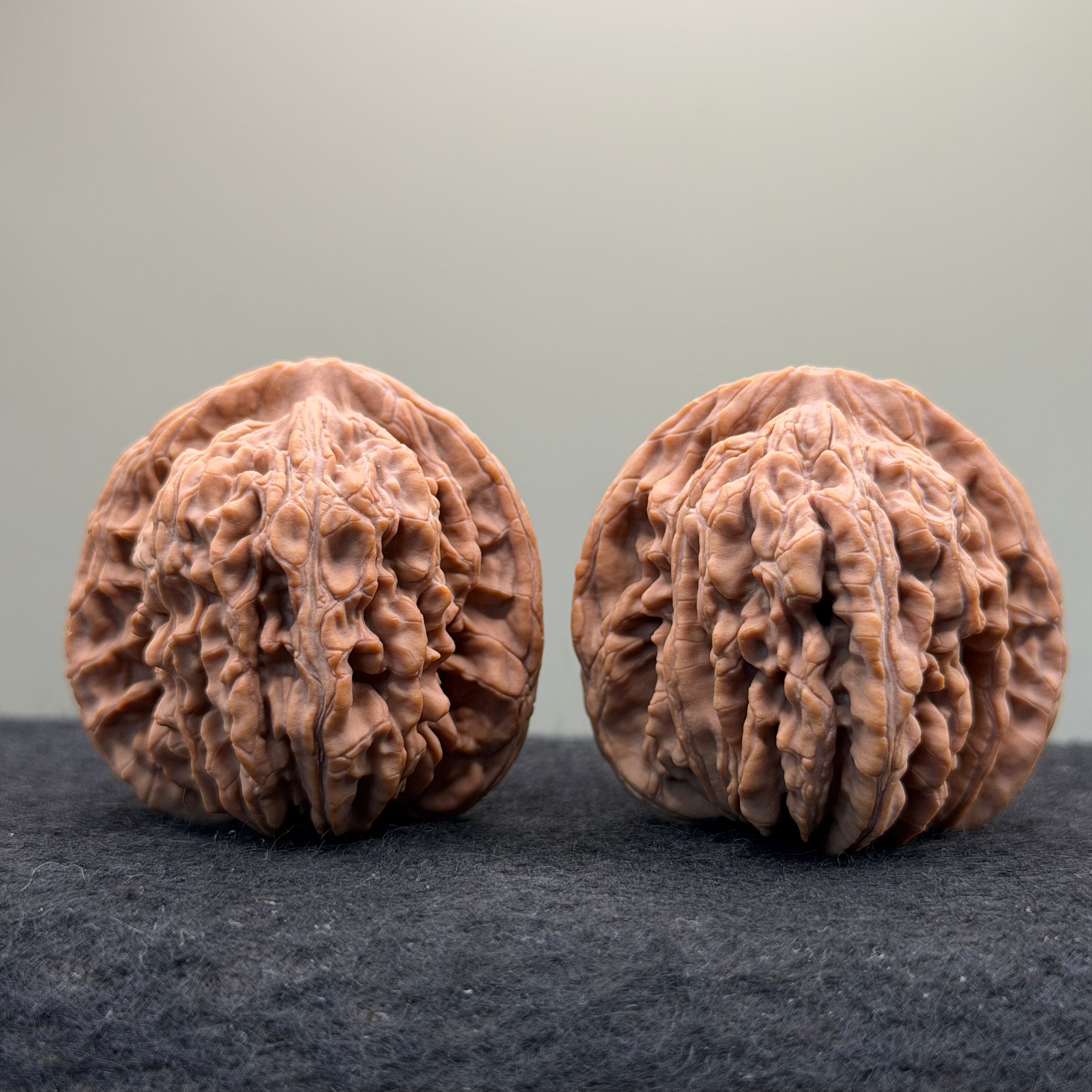 Four Towers Wenwan Walnut · 44mm · Natural · Select Ritual