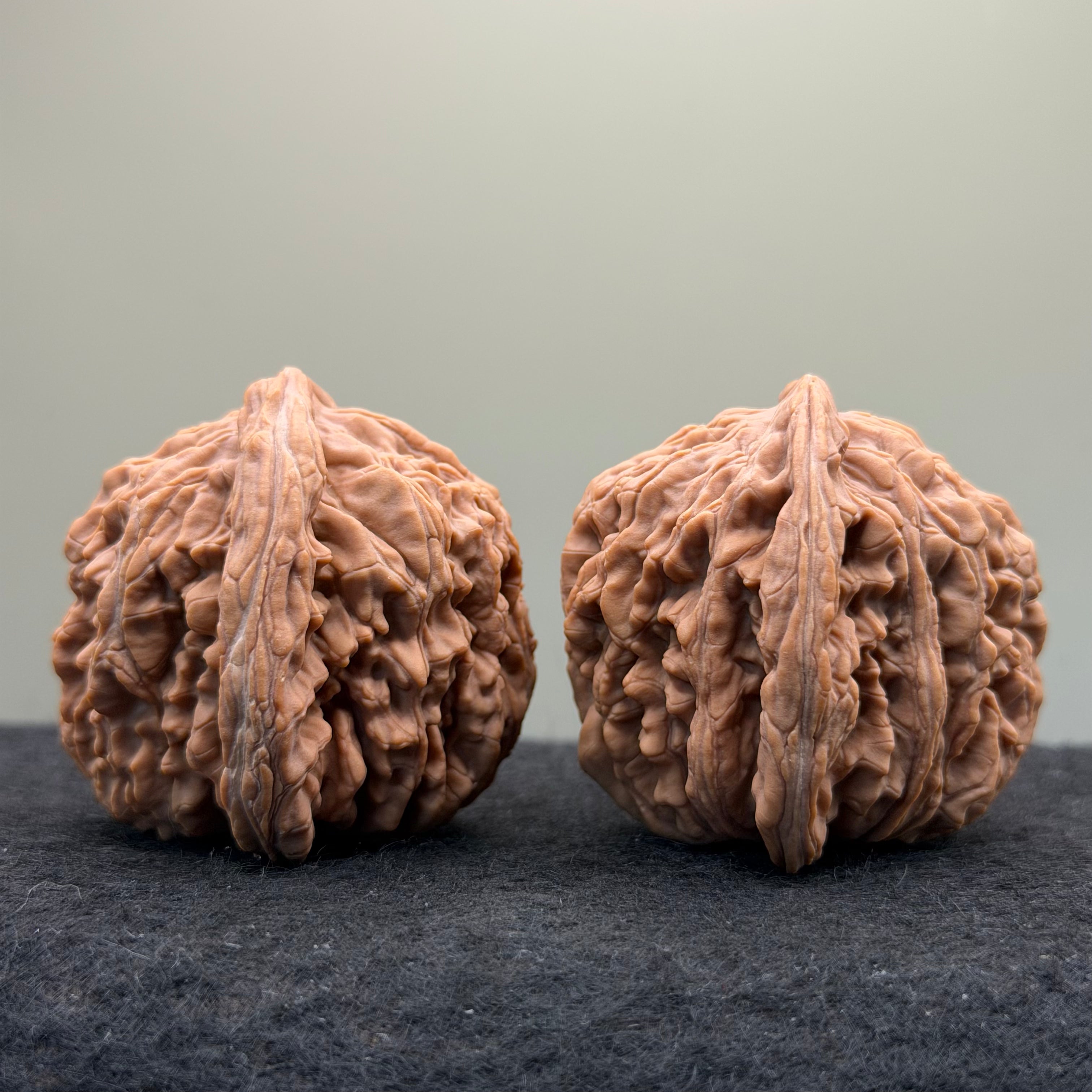 Four Towers Wenwan Walnut · 44mm · Natural · Select Ritual