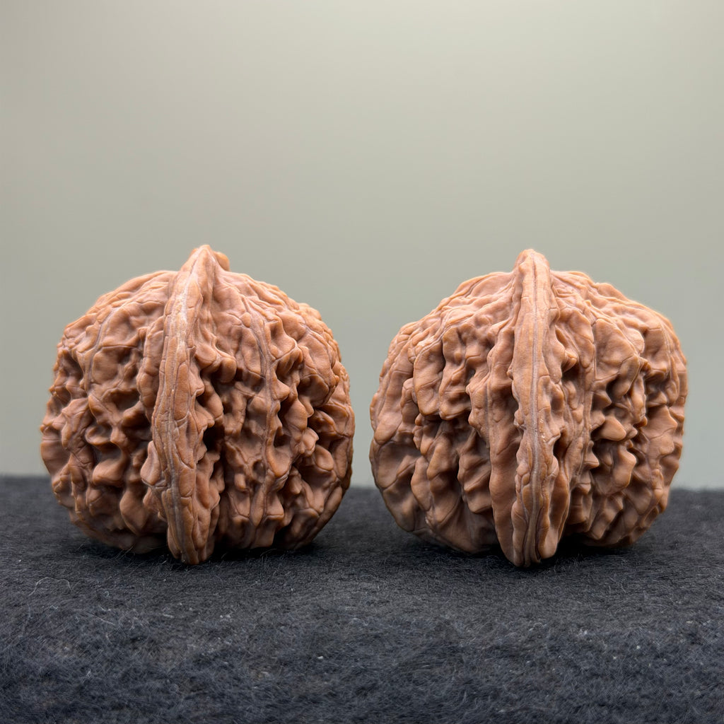 Four Towers Wenwan Walnut · 44mm · Natural · Select Ritual